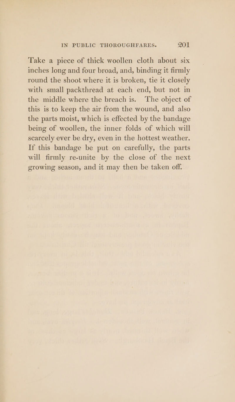 Take a piece of thick woollen cloth about six inches long and four broad, and, binding it firmly round the shoot where it is broken, tie it closely with small packthread at each end, but not in the middle where the breach is. ‘The object of this is to keep the air from the wound, and also the parts moist, which is effected by the bandage being of woollen, the inner folds of which will scarcely ever be dry, even in the hottest weather. If this bandage be put on carefully, the parts will firmly re-unite by the close of the next growing season, and it may then be taken off.