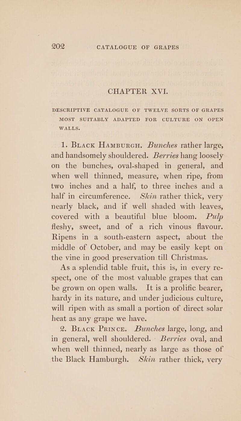 CHAPLER XVI. DESCRIPTIVE CATALOGUE OF TWELVE SORTS OF GRAPES MOST SUITABLY ADAPTED FOR CULTURE ON OPEN WALLS. 1. Buack Hampuren. Bunches rather large, and handsomely shouldered. Berries hang loosely on the bunches, oval-shaped in general, and when well thinned, measure, when ripe, from two inches and a half, to three inches and a half in circumference. Skin rather thick, very nearly black, and if well shaded with leaves, covered with a beautiful blue bloom. Pulp fleshy, sweet, and of a rich vinous flavour. Ripens in a south-eastern aspect, about the middle of October, and may be easily kept on the vine in good preservation till Christmas. As a splendid table fruit, this is, in every re- spect, one of the most valuable grapes that can be grown on open walls. It is a prolific bearer, hardy in its nature, and under judicious culture, will ripen with as small a portion of direct solar heat as any grape we have. 2. Buack Prince. Bunches large, long, and in general, well shouldered. - Berries oval, and when well thinned, nearly as large as those of the Black Hamburgh. Shin rather thick, very