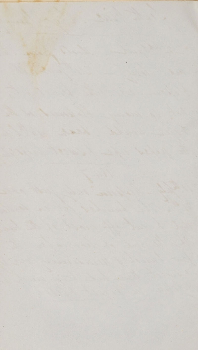 ’ . * ‘ %, | * * a 6 ‘ ~~ “3 Mees aa? ee We ‘ ‘ bel: si : - i. 5 ee et = . a fo y : e *, + ty % a : 2 ‘; a. . o “t . 1 r , ? e as U nat. is bf A’ 7 o x , 4 - +.  - me white MRS oS EOS . bs fe = ’ : . . ie a rene Mey oy Bb le a i y .o +. en a i : te * * x= &gt; ty ‘ * Pe i &gt; . &gt; ‘ be * » Fin , _ 4 ! ia) 7 . ‘ 1, “ fa i ‘y a . : aha P 2 ee ~ 4 a : é - ; 1 % é 7 *. oe : _ ‘ Se « : ) ; ys i fed ’ -~ . the e q ui - * ; 4 * YR  : 7 Tr 4 x * + ct ‘ 5 “ * t . _ ‘ . i aS , . of ay, j i 17 1 yal Ue &gt; m ; SAL F 2 wy. *% ’ Hs - , Cit 7 x F if &gt;&gt; 5 %y ° J “a ‘ ’ oe
