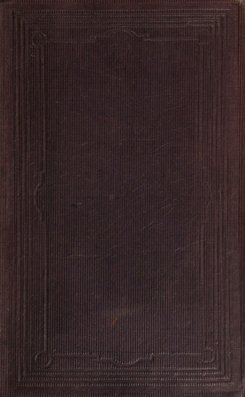 MER aw, rape a - Serucrisnwe