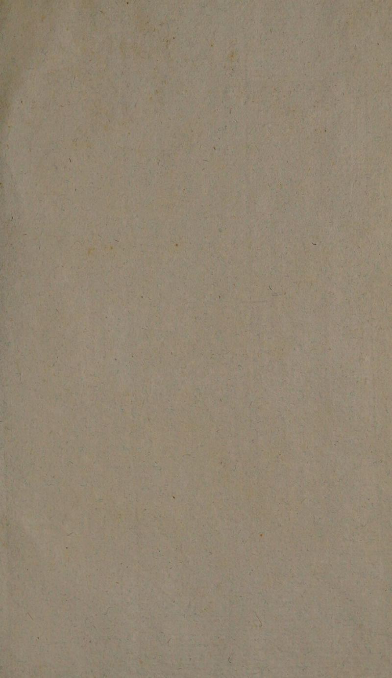 i Fe U ape der 0162 AUS Ar 7 Sy EN 3: 4 CES È APTE 3