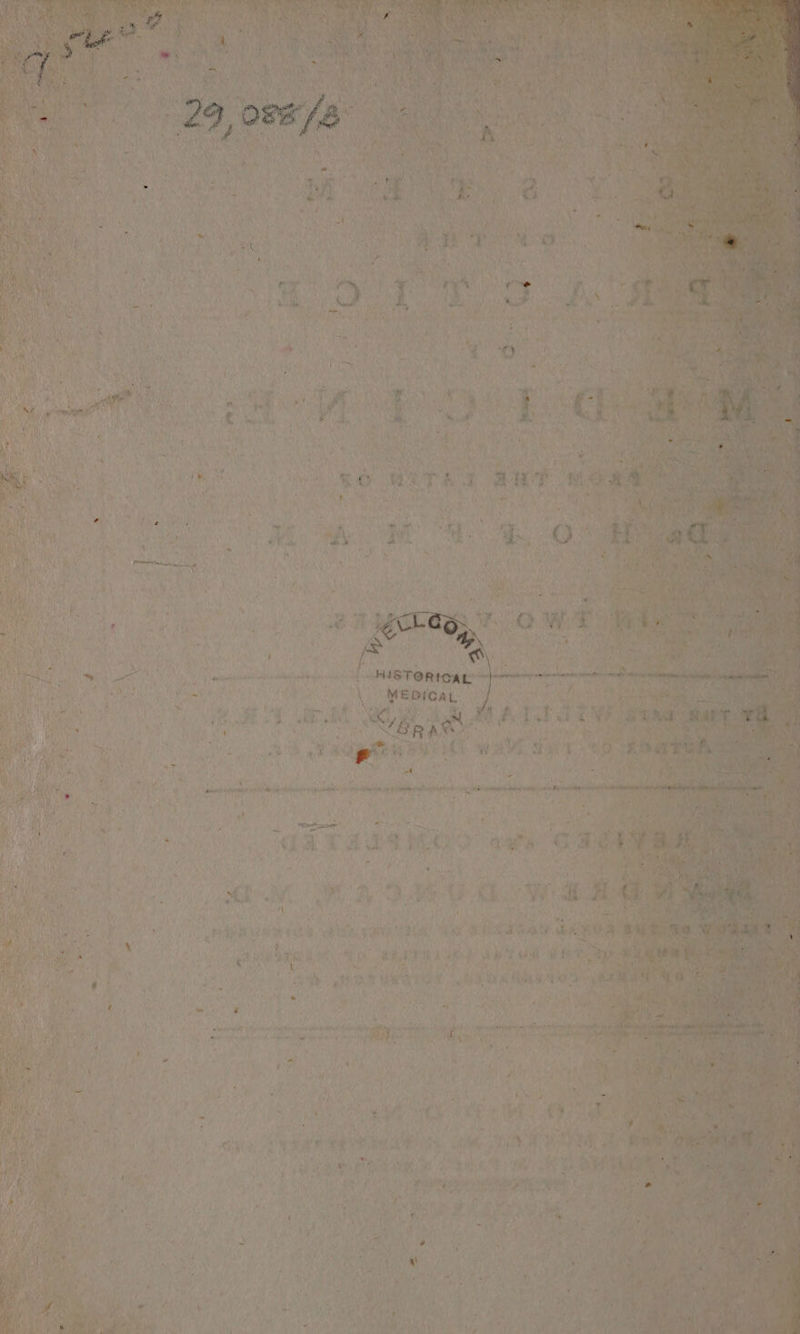 ates Wael Sek hat ‘he ela nina sent Libyan needy a ony oP ae TA 1 aseteaiognpndietietulg-abaeas eds olay ab tomb 7 ea : 4 L Maar 4 4 r i a al reins aciees, ye SMe aa) he ne tal : | aan «ii 7 aD Ree ee ’ \ : CMAN skh Cake mt dh | + gira boylly apy coer ah ake hE lt Me strata Sonn Spe cn 7 ad a phan] ne as i mY ‘ a bert /