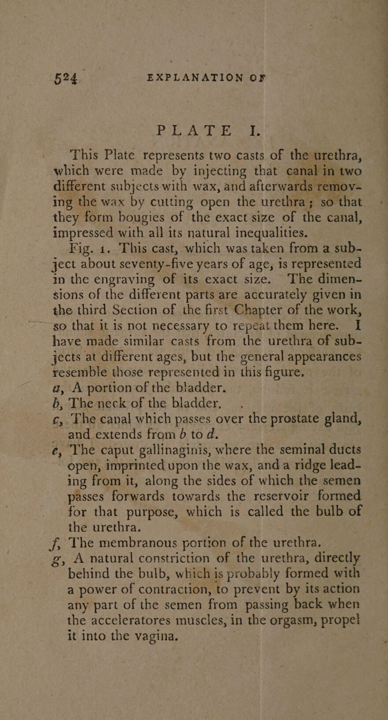 ie OW «Gal Pe! as ae This Plate represents two casts of the urethra, which were made by injecting that canal in two different subjects with wax, and afterwards remov- ing the wax by cutting open the urethra; so that they form bougies of “the exact size of the canal, impressed with all its natural inequalities. Fig. 1. This cast, which was taken from a sub- ject about seventy- -five years of age, 1s represented in the engraving of its exact size. The dimen- sions of the different parts are accurately given in the third Section of the first Chapter of the work, so that it is not necessary to repeat them here. I have made similar casts from the urethra of sub- jects at different ages, but the general appearances resemble those represented in this figure. a, A portion of the bladder. 5, The neck of the bladder, c, The canal which passes over the arog gland, -andextends from tod. _ é, The caput gallinaginis, where the seminal ducts open, imprinted upon the wax, anda ridge lead- ing from it, along the sides of which the semen passes forwards towards the reservoir formed for that purpose, which is called the bulb of the urethra. ib The membranous portion of the urethra. A natural constriction of the urethra, directly behind the bulb, which is probably formed with: a power of contraction, to prevent by its action any part of the semen from passing back when the acceleratores muscles, in the orgasm, propel it into the vagina. &amp;>