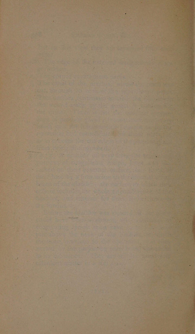- i OP en YO ee Pe ee a hae Pee —> | a Be: BES BRA ye ear 2 or) %, ie as * . Veg ae et f aa a art ean eRe ERR ON lL a abe IE ae 5, F 4 + ‘ vs 4 ba , 7 d 7-2 (oe - : f ¥ a 7. Slld . ’ ¥ * Y ae PF: > a ‘ ‘ Bet : 4 : pi Aas oe 2 - * ne ai ins G . ~ ; yes Ey) > it 's arom a, aa aid ~* : % 5 rd 7 ite) c a “ e « _- vie ee ~ AS . - ; i 4g ; mands Tee teat ETO Che ik hoo: eae Ate ‘ : m | a oe ee - ~~ Z ) : ~ * ‘ ’ = = ) ; ; Bly 725 “ree rie h Petes. oo ok) Se OE Sie Pei ) Soe ; ' r 5, j w . “ > 7 ee ND See ee Beg We it. ? 7 5 oe r j a na 4 : ' ae Be ¢ ay bay tw le S at let Re by ‘ eke j ' ae a ae oe > &wreee oe Rte ee ae ney me i eek eanel Os , LU “s * rs ; es 5 EE en Li s < be | ; i ay, P . . ba as wee : , i 4eus : y Af ‘ . s > es F i ; “7 ‘ \ ie J 3 a4 aan, : rs ) ¥ + 1 ‘ im ; ? A > ' 7 i 4 rt ca *. Se ra a 3 cree < Orr nanan, ee? . 4 \ ° =I z “ 2 ie ; ' i od . be ¢ ’ A ia? fis eet A . Si. Md 9 . . f i haes = . d wt. . eet . * ae | . - AM = a 5 He ® > 7 Ts ¥ ‘ . eae J ee Pe , ; Me é Ka? ; . . ae ay ‘ & oe : S oF é ‘e * é a . J - a * Tyee ut a - x . a“ t ’ 7 7 > a Slee a. ‘a ‘ . * 7 La yee * ‘ . . . “hve ¥ + : r ’ a fh hag & - P. z « e . - tae . ' . . ‘ . . ; ’ * © ets ‘ ee ‘ ‘ ; a