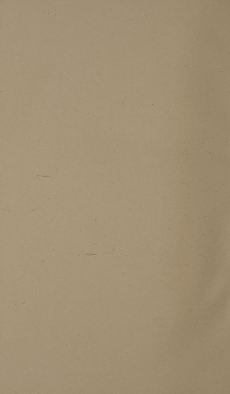 ~*~ T a) . a ; ) as 1 - F i i‘ . ” * r . ~~ : i aad - 4 * ¥ ’ 1 4 +5 ‘ a x ne 3 ti oe ¥ 43 4 > Xs ‘ : ‘ oa a - = aks . u* 4 , .# % 7 P ‘ - f . 2 ‘ ote i od 4 1 ‘ ‘ ate . : ZX ) ‘ $6 ‘ s % . 7 Sy ;: : 2 Wo ’e ‘4 4 A . , a “a1! ee ay Lf * viv : _— « +. hee we . ts ee ie er dS ge 4 ay P ee ee oe oe, os ,? ae ms. -