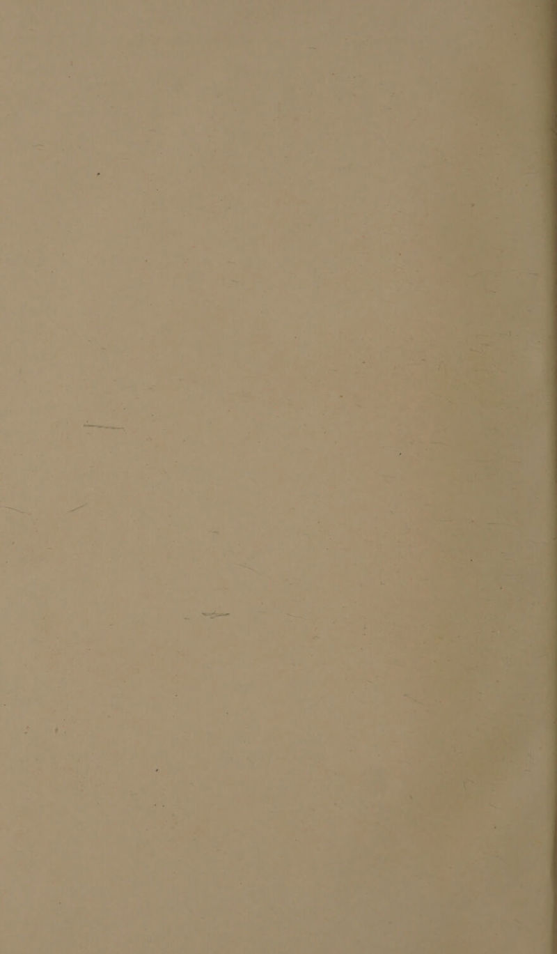 —_ ‘ * ; ~ ‘ cea y 5 = _- =e . ~ = a c é s ry > ° bi + 4 , : ¢ ° . Ca R, '* 7 i. i