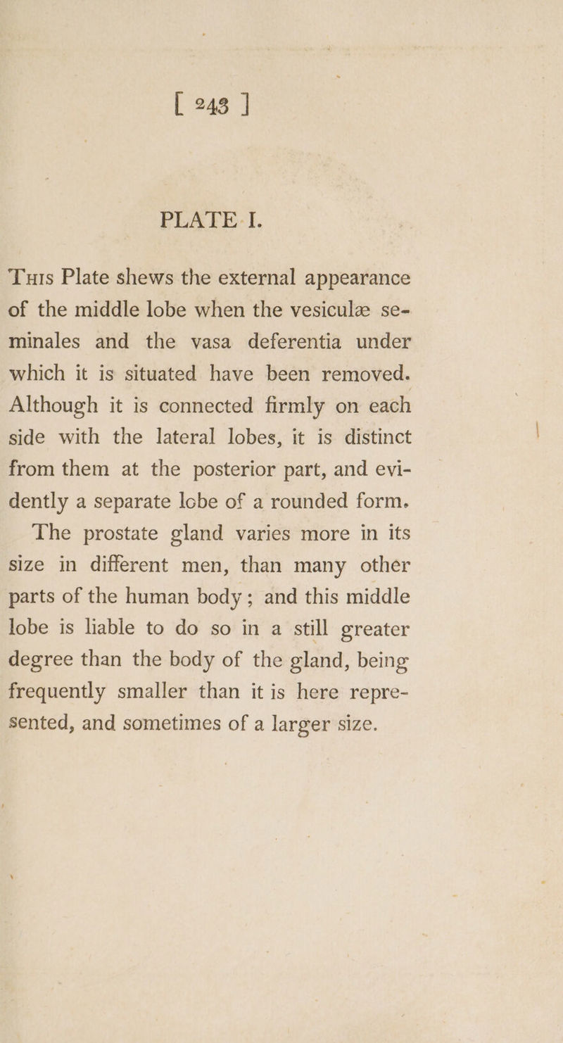 PLATE. I. Tus Plate shews the external appearance of the middle lobe when the vesiculz se- minales and the vasa deferentia under which it is situated have been removed. Although it is connected firmly on each side with the lateral lobes, it is distinct from them at the posterior part, and evi- dently a separate lobe of a rounded form. The prostate gland varies more in its size in different men, than many other parts of the human body ; and this middle lobe is liable to do so in a still greater degree than the body of the gland, being frequently smaller than it is here repre- sented, and sometimes of a larger size.