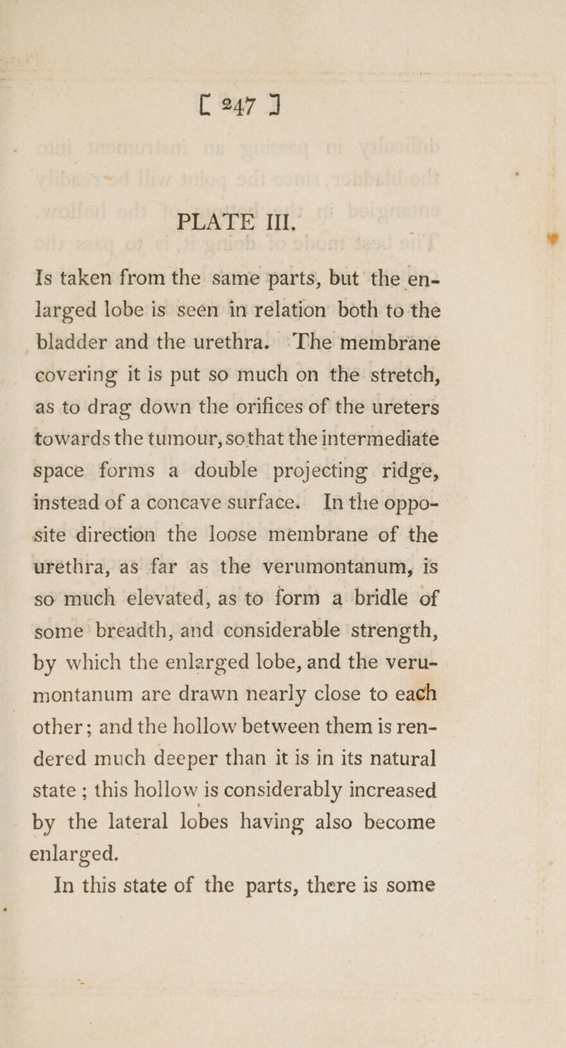 PLATE III. Is taken from the same parts, but the en- larged lobe is seen in relation both to the bladder and the urethra. ‘The membrane covering it is put so much on the stretch, as to drag down the orifices of the ureters towards the tumour, sothat the intermediate space forms a double projecting ridge, instead of a concave surface. In the oppo- site direction the lopse membrane of the urethra, as far as the verumontanum, is so much elevated, as to form a bridle of some breadth, and considerable strength, by which the enlarged lobe, and the veru- montanum are drawn nearly close to each other; and the hollow between them is ren- dered much deeper than it is in its natural state ; this hollow is considerably increased by the lateral lobes having also become enlarged. In this state of the parts, there is some