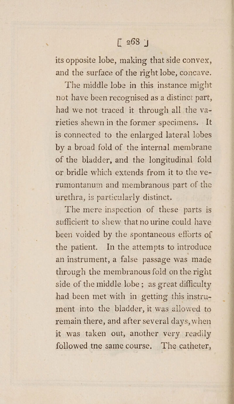 its opposite lobe, making that side convex, and the surface of the right lobe, concave. The middle lobe in this instance might not have been recognised as a distinct part, had we not traced it through all the va- rieties shewn in the former specimens. It is connected to the enlarged lateral lobes by a broad fold of the internal membrane of the bladder, and the longitudinal fold or bridle which extends from it to the ve- rumontanum and membranous part of the urethra, is particularly distinct. The mere inspection of these parts is sufficient to shew that no urine could have been voided by the spontaneous efforts of the patient. In the attempts to introduce an instrument, a false passage was made through the membranous fold on the right side of the middle lobe; as great difficulty had been met with in getting this instru- ment into the bladder, it was allowed to remain there, and after several days, when it was taken out, another very readily followed tne same course. ‘The catheter,