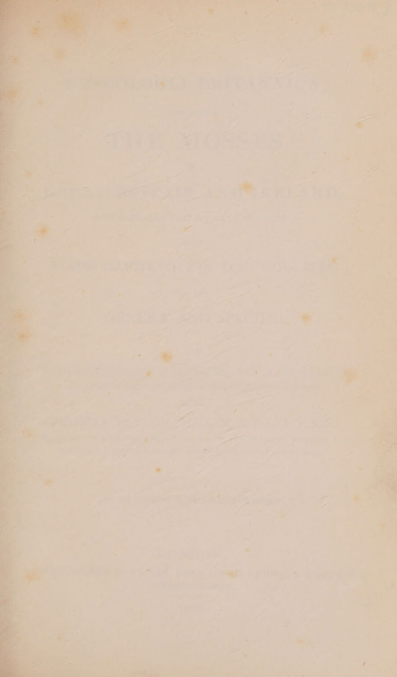 ee. ; . tes se = f- ia he a . = #. _ 1GEA RRTVAN RT RS | snes * - : as 7 “ ne Pk ee a , = a “fe . 4 “a ¢ Pa ; ead ge * : be 3: he ‘29 ae THE. OS Ss 7 7 ' ye  _ Bs ._. =u e - c J y i? a ee 4; 7 a +5 a > Frm .€! A a3 ; gut ahies Pee? fi. 14 ee eee CS re ot ee a a o << ¢ : . Gey ae a! = =a : é ' , 4 a a - % Bs a $t or wy rm a ae a oe rss > Ae i *® Fi f b. , > ons ‘ E rT 7 . a 7 e = a » : 7 “ A se va 2 . 7 a , 7 = i al - - le Fr Bie ; j : A ae bell ante : oe ae cs a Ae p> ek oes ‘ ; = = mJ - ee a “AA = ie conus ban One ave DP ge Rieti a09 F ¢ ok ¢.. 2 = JOM ie . SVG EX DAL Ona. ARaiy. etree aac: wrote y cae! om os , > - < sl = ° are : oa — - ¢ : ee oe - a} 7 a av,