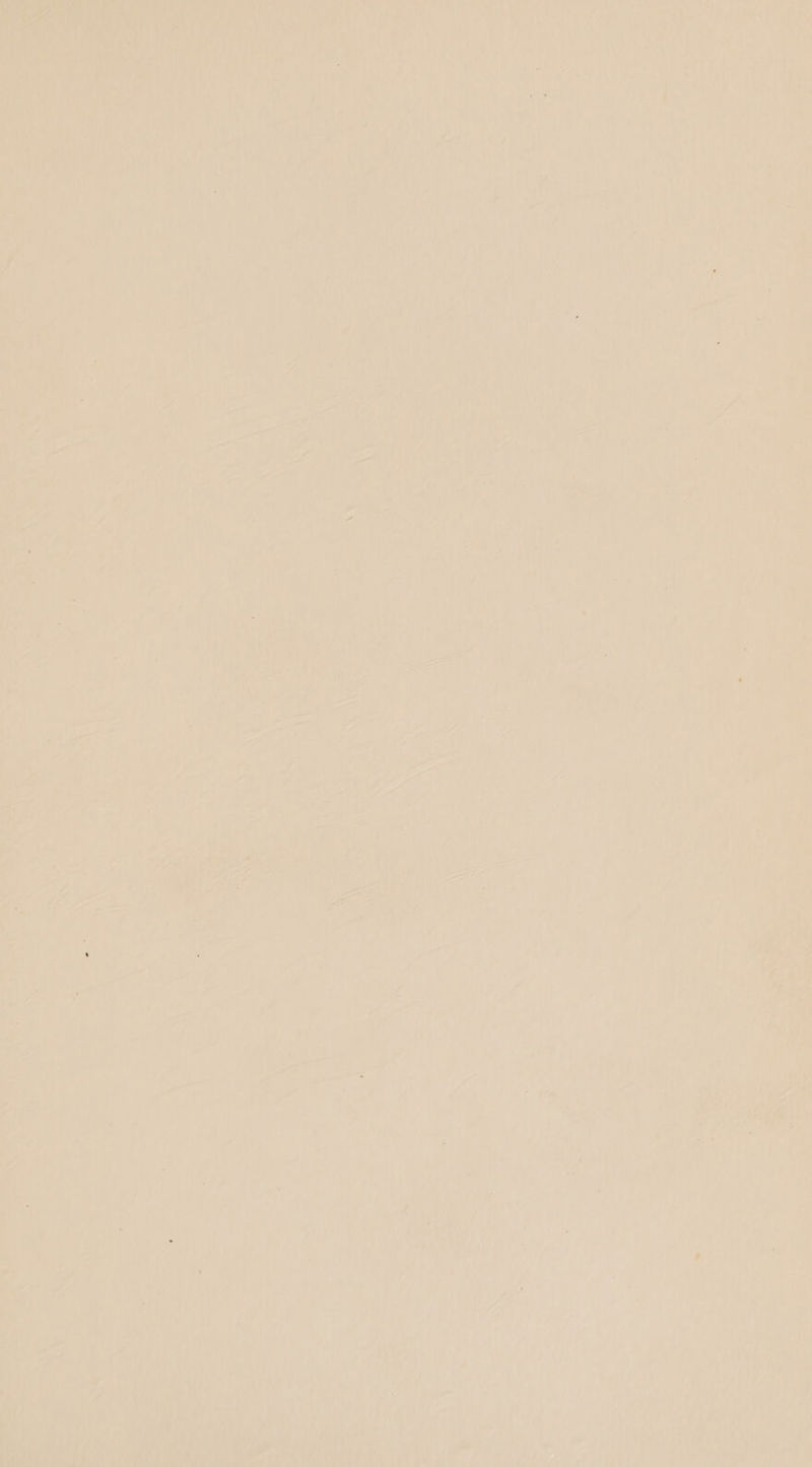 nT } és aes f ' . a ewike?