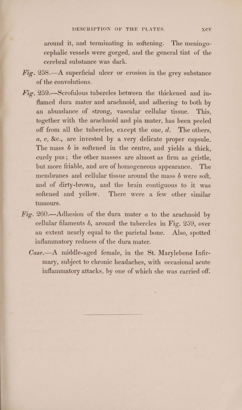 around it, and terminating in softening. The meningo- cephalic vessels were gorged, and the general tint of the cerebral substance was dark. 258.—A superficial ulcer or erosion in the grey substance of the convolutions. flamed dura mater and arachnoid, and adhering to both by an abundance of strong, vascular cellular tissue. This, together with the arachnoid and pia mater, has been peeled off from all the tubercles, except the one, d. The others, a, ¢, &amp;c., are invested by a very delicate proper capsule. The mass 6 is softened in the centre, and yields a thick, curdy pus; the other masses are almost as firm as gristle, but more friable, and are of homogeneous appearance. The membranes and cellular tissue around the mass 6 were soft, and of dirty-brown, and the brain contiguous to it was softened and yellow. There were a few other similar tumours. 260.—Adhesion of the dura mater @ to the arachnoid by cellular filaments 4, around the tubercles in Fig. 259, over an extent nearly equal to the parietal bone. Also, spotted inflammatory redness of the dura mater. mary, subject to chronic headaches, with occasional acute inflammatory attacks, by one of which she was carried off.