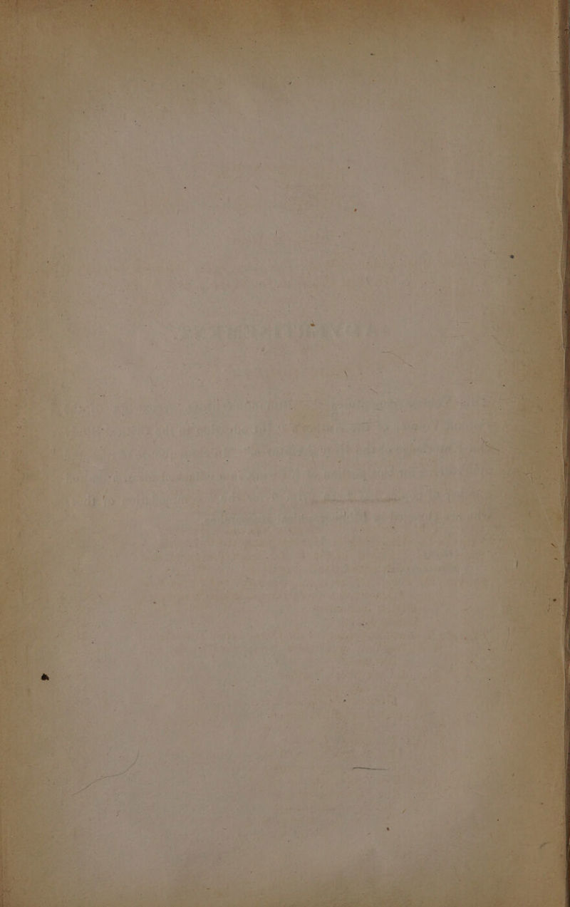 la a 2 at eal a = ntahn <r gee Carte sate nl fs 4 Pee vee Va