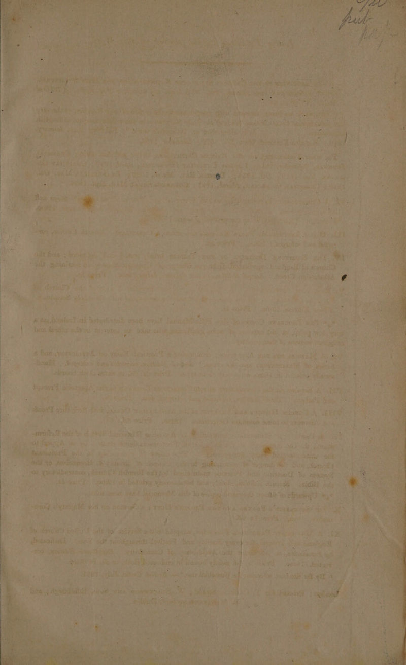 eas we , wearin ts po sy. aceasta. wate a ies) vee ed a wall my avs sits: » | Per eke A ot aca 1 : mi ontonse Gene : erat, iit soenget Mess MS a vie Rees, anti Tee aia Ti Rly grid saitiend ‘ rt yi Lae Met's ory Hoe pot NPs re 4 heer 4 om ee EE SR Oe aie a ieee Ds Paes) ay. 2S oy f Gate ss ep rely aN L' , eae a te? yok A Bawa tees 4 1g +) etry Pree ean aad isles Srsewadie ou | re ee eer besitp ee ie . ig . op baat 7 i wt Ne x v : athe es et A a a hor ee { hy ¥ a < y it, - me a Jo y had wig? Beek. We auak CEs Fie! 3a +” we oe a Fhe ea AD, Sea dey ie sarge. setigulf Pe. tana i ue Bad. Mone. 0 ane A aoe: tas aed oo | ie ene tit fatgat roe aad tl Saasih se GE Re were a naiedet viet are Px a Me he ; ate, lig eda Fy idee. ue oan cS at Ban. adi zla ea He ox ver Oe se be Hf re Pie if An & Bat vortziagyr£ be “isas 4 desing RRS, SND A Be eek bal an \ - ss “hank eyinies Bae tataresat, gaat % sail aaeas es Ls Ha PRP Ati pe he fee: ue, a ee Sd: Be: i ae: avin si | Lo arta au, Set aerate Aeetisale 4 ROOD SP ee ve tH i st ; : ey * “i2 | Bs wien, nt ng Wes ex: an SESS Ne as SE es > sel ees ches ll oh tHe ; $ CES RA ene Fake Tot yas, eee SS 8 tae “Bae, ee A de ae 24 ? : i MRM st wie osetia | a aoe eth Te *, RRP MERE Ce eS a oy ae A a a peter he aeiote se: &, Tue i Y 70 i ; ae ey De MCT - AMT eirass rae) ATED Suthers ARS irom areas ene ate ena ws a por: ‘Totiaaet ee: Se. Gary . bitin Saisie De ie tp fog e ye weg f ri oe : : | + Vee Ook sng wre rere “ee Wet ur i ‘ ee ae 4 , ry Br Fike : hel Shae | Loa, t - ro re : ‘ 4 a Ye pre ie RNS ee ER Sr Te. a he As A MMi S| hd ae 4D ; cay Skin chew). abet pehe oe: RE Shoah ye erat toed ahi ar PA Mine slowed wid gc Ke i Rewrainkt btieeet Act Lauueth: da panels 4 ies AR ol TS, SBaHE ns Batabie Ytucnssberad fava Dhieke aN, ie RMR ely ek rl ok Vetoes 17 j cs Dat ™ Sat ee Fae Marge og arllbon lye: a4 b igkoagtens ta biol, bib caadeeahs. ore: are, ach Med eget 4 i sath: 8 ray erty mi Pe 2A advan & ie tr septa Tigthe i ec eS ON 2 Nes Eye nae gk! Kore beth aaa: “ shaw “ay Cinta, sath ae ky, my sg soa ioe ee iB a a a Sannd Aiba ace Saubynd | Bits Se sitewcs or Spee are Pap a 3 ree : 3 age 5g Oops ree ty, ieee okt i Gi sch witht, yaad eRe i tee 6g asa Aid, tir ok ahah Ae dowd faite & 3 eee ne a host. be ny -