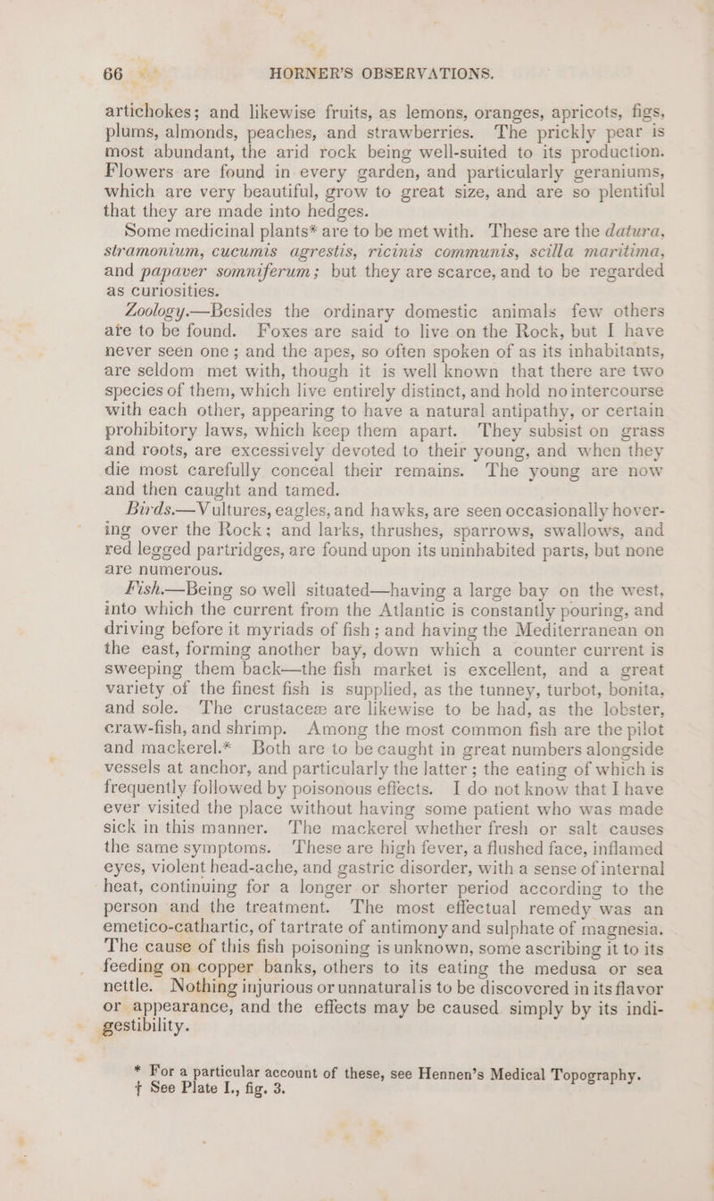 artichokes; and likewise fruits, as lemons, oranges, apricots, figs, plums, almonds, peaches, and strawberries. The prickly pear is most abundant, the arid rock being well-suited to its production. Flowers are found in every garden, and particularly geraniums, which are very beautiful, grow to great size, and are so plentiful that they are made into hedges. Some medicinal plants* are to be met with. These are the datura, stramonium, cucumis agrestis, ricinis communis, scilla maritima, and papaver somniferum; but they are scarce, and to be regarded as Curiosities. Zoology.—Besides the ordinary domestic animals few others are to be found. Foxes are said to live on the Rock, but I have never seen one; and the apes, so often spoken of as its inhabitants, are seldom met with, though it is well known that there are two species of them, which live entirely distinct, and hold no intercourse with each other, appearing to have a natural antipathy, or certain prohibitory laws, which keep them apart. They subsist on grass and roots, are excessively devoted to their young, and when they die most carefully conceal their remains. The young are now and then caught and tamed. Birds.—V ultures, eagles, and hawks, are seen occasionally hover- ing over the Rock; and larks, thrushes, sparrows, swallows, and red legged partridges, are found upon its uninhabited parts, but none are numerous. fish.—Being so well situated—having a large bay on the west. into which the current from the Atlantic is constantly pouring, and driving before it myriads of fish; and having the Mediterranean on the east, forming another bay, down which a counter current is sweeping them back—the fish market is excellent, and a great variety of the finest fish is supplied, as the tunney, turbot, bonita, and sole. ‘The crustaces are likewise to be had, as the lobster, craw-fish, and shrimp. Among the most common fish are the pilot and mackerel.* Both are to be caught in great numbers alongside vessels at anchor, and particularly the latter ; the eating of which is frequently followed by poisonous effects. I do not know that I have ever visited the place without having some patient who was made sick in this manner. The mackerel whether fresh or salt causes the same symptoms. ‘These are high fever, a flushed face, inflamed eyes, violent head-ache, and gastric disorder, with a sense of internal heat, continuing for a longer or shorter period according to the person and the treatment. The most effectual remedy was an emetico-cathartic, of tartrate of antimony and sulphate of magnesia. The cause of this fish poisoning is unknown, some ascribing it to its feeding on copper banks, others to its eating the medusa or sea nettle. Nothing injurious or unnaturalis to be discovered in its flavor or appearance, and the effects may be caused simply by its indi- — gestibility. * For a particular account of these, see Hennen’s Medical Topography. + See Plate I, fig. 3.