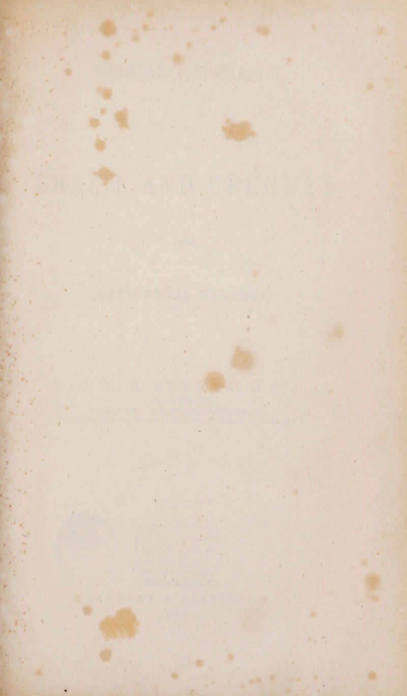 Rend ie Shae ie E: pci tae tac,