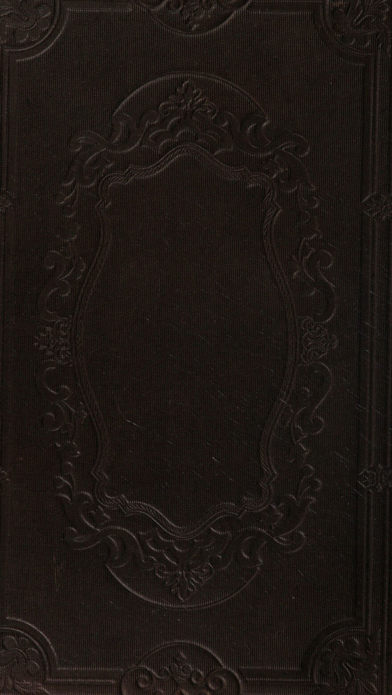 PEUTESE EES \ - BV oe ; ae “ ¢ i i g 5 iy re bea - : petit oe r pron HEY Si r ea : emai helt a eae é st dae . fale 2 - Ain te ony . d oe = ee inl é * / bAabes 8 ; : biked Linh tiie ahs “dite nsmnins Ansett tml st Ral nbd sented tot at Son maltParm aM anes eo nara oe