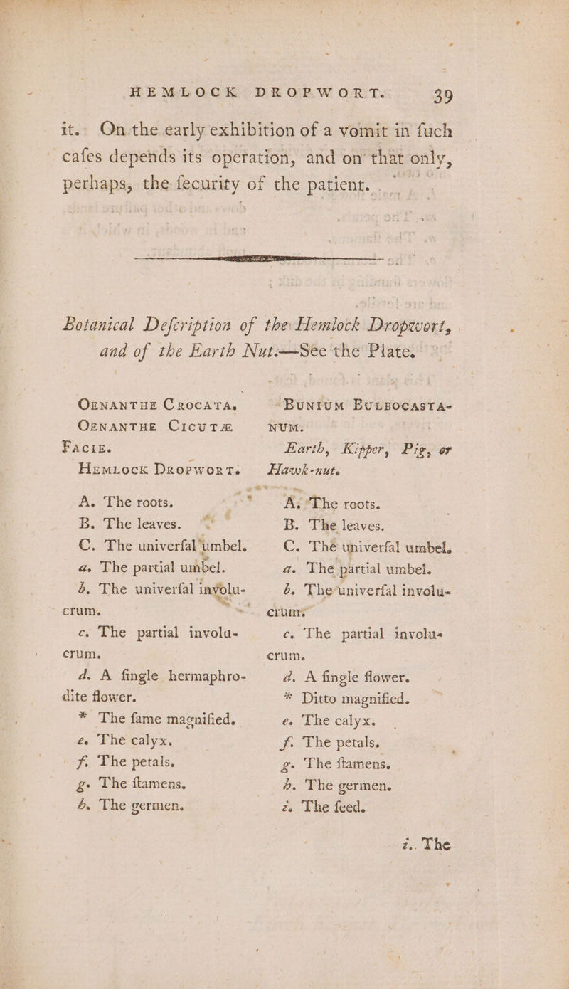 OzNANTHE CRocatTa. OENANTHE CicuTs#&amp; FAciE. Hemiock Dropwort. A. The roots. B. The leaves. C. The univerfal'‘umbel. a. The partial umbel. crum. ce. The partial invola- crum. d, A fingle hermaphro- dite flower. * The fame magnified. . The calyx. &amp; f. The petals. g- The ftamens., 4. The germen. “ -Bunitum EBuLBOCAST A- NUM. Earth, Kipper, Pig, or A, The roots. B. The leaves. C. The univerfal umbel, a. The partial umbel. b. Theuniverfal involu- crum: c. The partial involu- crum. d. A fingle flower. * Ditto magnified. e. The calyx. Ff. The petals. g. The ftamens. 4, The germen. z., The feed. z.. The