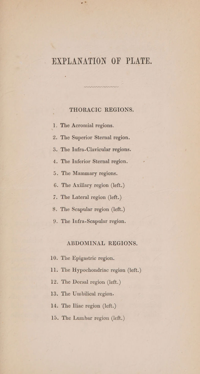 qr “I awn nn eee THORACIC REGIONS. ABDOMINAL REGIONS.