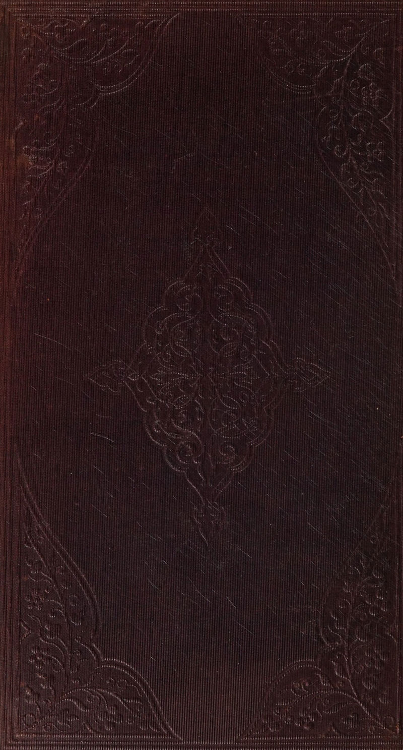 ‘ SRA yedia a boa aoa lh a - = Cop Renee fj Vid aii Haines rcs ee ain Meters Fy 2 = te fpr fons wa gee he TPEVEDY $43 14244 CTE ay Mi ay 4 ny er li bs Lt) hyetint eet