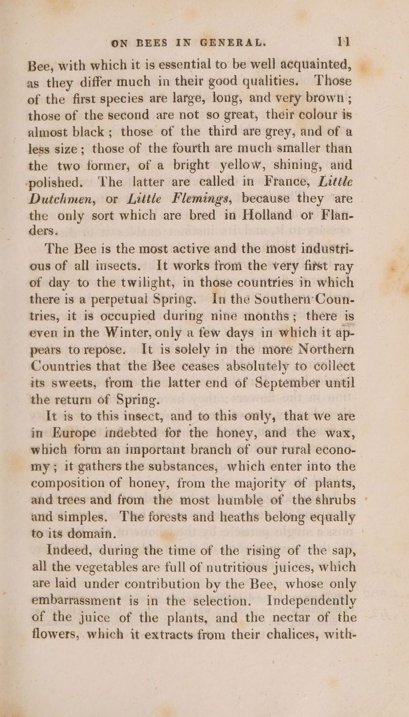 Bee, with which it is essential to be well acquainted, as they differ much in their good qualities. Those of the first species are large, long, and very brown ; those of the second are not so great, their colour is almost black; those of the third are grey, and of a less size; those of the fourth are much smaller than the two former, of a bright yellow, shining, and polished. The latter are called in France, Lotile Dutchmen, or Little Flemings, because they are the only sort which are bred in Holland or Flan- ders. | The Bee is the most active and the most industri- ous of all insects. It works from the very fivst ray of day to the twilight, in those countries in which there is a perpetual Spring. In the Southern’Coun- tries, it is occupied during nine months; there is even in the Winter, only a few days in which it ap- pears torepose. I[t is solely in the more Northern Countries that the Bee ceases absolutely to collect its sweets, from the latter end of September until the return of Spring. It is to this insect, and to this only, that we are in Europe indebted for the honey, and the wax, which form an important branch of our rural econo- my; it gathers the substances, which enter into the composition of honey, from the majority of plants, and trees and from the most humble of the shrubs ° and simples. The forests and heaths belong equally to its domain. , Indeed, during the time of the rising of the sap, all the vegetables are full of nutritious juices, which are laid under contribution by the Bee, whose only embarrassment is in the selection. Independently of the juice of the plants, and the nectar of the flowers, which it extracts from their chalices, with-