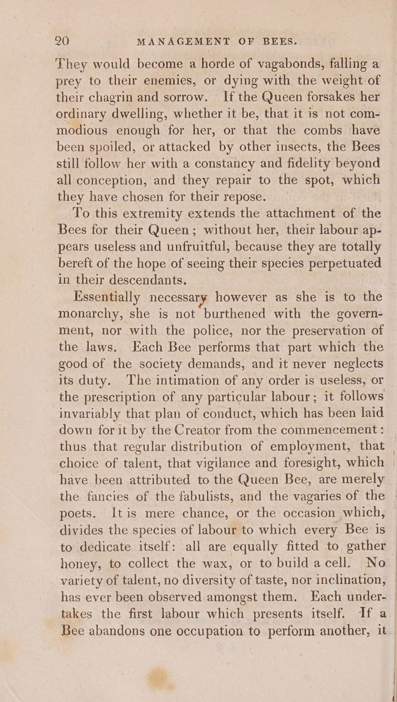 They would become a horde of vagabonds, falling a prey to their enemies, or dying with the weight of their chagrin and sorrow. If the Queen forsakes her ordinary dwelling, whether it be, that it is not com- modious enough for her, or that the combs have been spoiled, or attacked by other insects, the Bees still follow her with a constancy and fidelity beyond all conception, and they repair to the spot, which they have chosen for their repose. To this extremity extends the attachment of the Bees for their Queen; without her, their labour ap- pears useless and unfruitful, because they are totally bereft of the hope of seeing their species perpetuated in their descendants. Essentially necessary however as she is to the monarchy, she is not burthened with the govern- ment, nor with the police, nor the preservation of the laws. Each Bee performs that part which the good of the society demands, and it never neglects its duty. The intimation of any order is useless, or the prescription of any particular labour; it follows invariably that plan of conduct, which has been laid down for it by the Creator from the commencement : choice of talent, that vigilance and foresight, which have been attributed to the Queen Bee, are merely poets. Itis mere chance, or the occasion which, divides the species of labour to which every Bee is to dedicate itself: all are equally fitted to gather honey, to collect the wax, or to build acell. No has ever been observed amongst them. Each under- takes the first labour which presents itself. If a