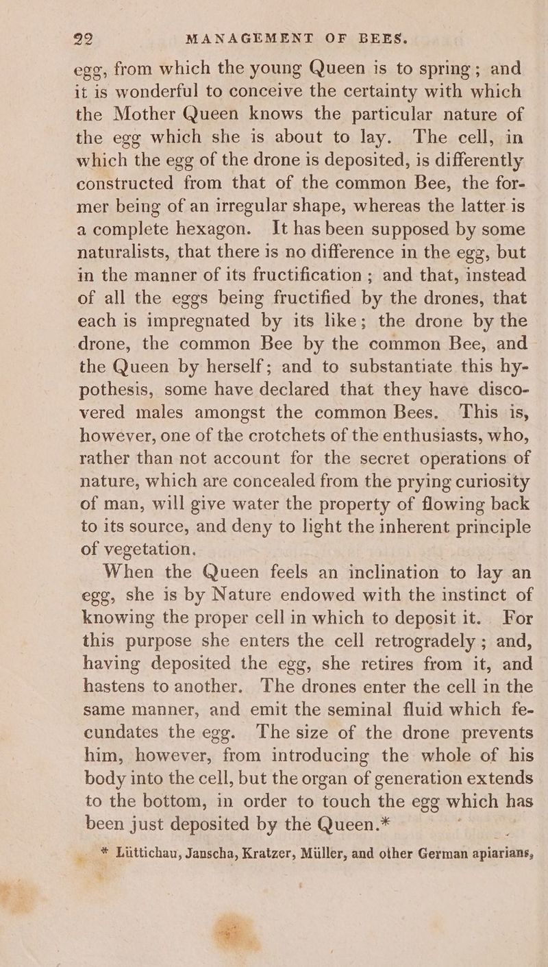 egg, from which the young Queen is to spring; and it is wonderful to conceive the certainty with which the Mother Queen knows the particular nature of the egg which she is about to lay. The cell, in which the egg of the drone is deposited, is differently constructed from that of the common Bee, the for- mer being of an irregular shape, whereas the latter is a complete hexagon. It has been supposed by some naturalists, that there is no difference in the egg, but in the manner of its fructification ; and that, instead of all the eggs being fructified by the drones, that each is impregnated by its hke; the drone by the drone, the common Bee by the common Bee, and> the Queen by herself; and to substantiate this hy- pothesis, some have declared that they have disco- vered males amongst the common Bees. ‘This is, however, one of the crotchets of the enthusiasts, who, rather than not account for the secret operations of nature, which are concealed from the prying curiosity of man, will give water the property of flowing back to its source, and deny to light the inherent principle of vegetation. When the Queen feels an inclination to lay an egg, she is by Nature endowed with the instinct of knowing the proper cell in which to deposit it. For this purpose she enters the cell retrogradely ; and, having deposited the egg, she retires from it, and hastens to another. The drones enter the cell in the same manner, and emit the seminal fluid which fe- cundates the egg. The size of the drone prevents him, however, from introducing the whole of his body into the cell, but the organ of generation extends to the bottom, in order to touch the egg which has been just deposited by the Queen.* * Liittichau, Janscha, Kratzer, Miller, and other German apiarians,