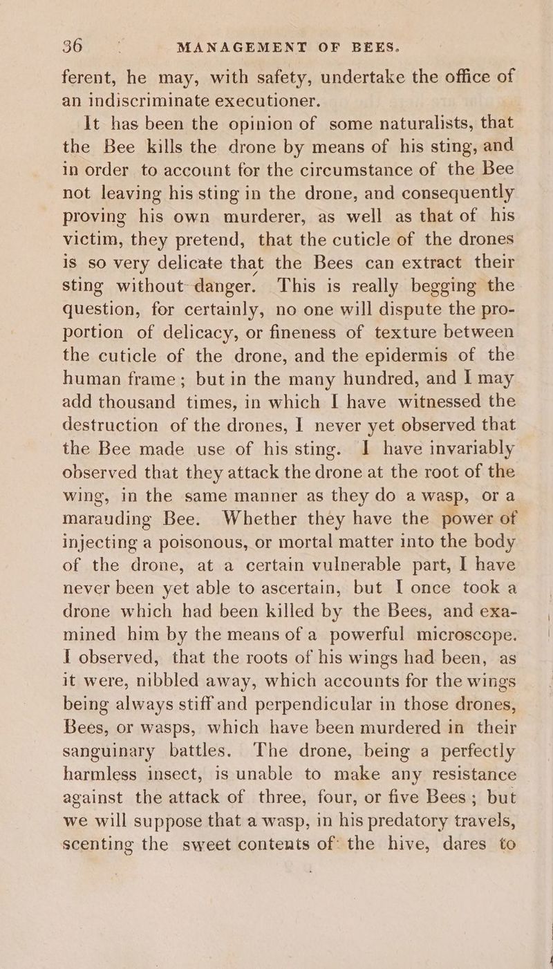 ferent, he may, with safety, undertake the office of an indiscriminate executioner. It has been the opinion of some naturalists, that the Bee kills the drone by means of his sting, and in order to account for the circumstance of the Bee not leaving his sting in the drone, and consequently proving his own murderer, as well as that of his victim, they pretend, that the cuticle of the drones is so very delicate that the Bees can extract their sting without danger. This is really begging the question, for certainly, no one will dispute the pro- portion of delicacy, or fineness of texture between the cuticle of the drone, and the epidermis of the human frame; but in the many hundred, and I may add thousand times, in which I have witnessed the destruction of the drones, 1 never yet observed that the Bee made use of his sting. J have invariably observed that they attack the drone at the root of the wing, in the same manner as they do a wasp, ora marauding Bee. Whether they have the power of injecting a poisonous, or mortal matter into the body of the drone, at a certain vulnerable part, I have never been yet able to ascertain, but I once took a drone which had been killed by the Bees, and exa- mined him by the means of a powerful microscope. I observed, that the roots of his wings had been, as it were, nibbled away, which accounts for the wings being always stiff and perpendicular in those drones, Bees, or wasps, which have been murdered in their sanguinary battles. The drone, being a perfectly harmless insect, is unable to make any resistance against the attack of three, four, or five Bees; but we will suppose that a wasp, in his predatory travels, scenting the sweet contents of: the hive, dares to