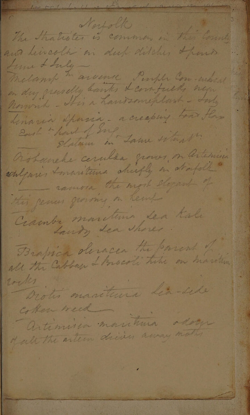 Beja A a en em &amp; never with dicen td, ha ae ha é (ae enti Ss agotob eine Crs tit aD BE Sy ge UES Spt os | f lt E AA coe ies 5 Fe a See Piette) can Lik | “eet - ee eae x Cee ce AY cain ent iN > Seis es Y 4 iy ee) ate Peta te att Uitte nes gem aE Attn ag * Ltt iy pt Me Fhe Aitttre heeds See ak a