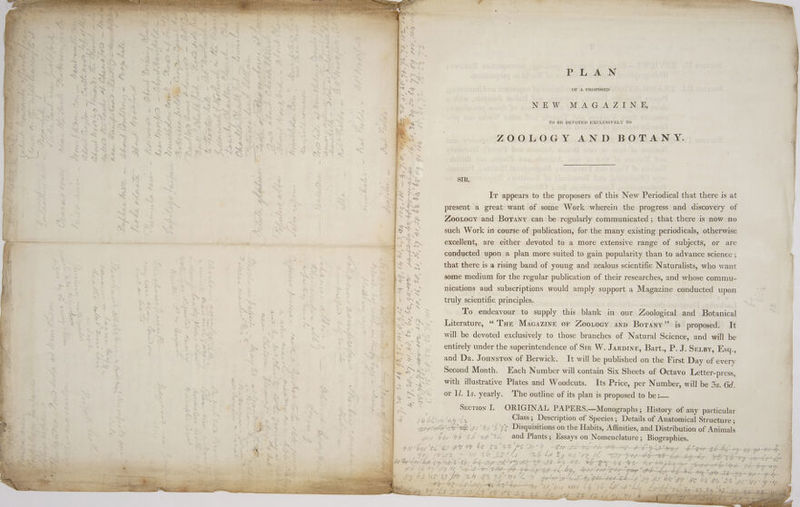 ve « Se ee | OS SSN US ~ ik R “~ ~~ BAN ~ BS ‘ 5 Ss wR S +. 4 a a ‘ aw ae . > S8° LoEsgx YS yy l SAY Jy , ¥ “ Ne 4 Sa ae Saleen oS ee kN YN ‘ eos ATS Sa ee Be iis ee CAA, ae owe SN Lm “2 BX Xx Paes wi eo OSS PRIS SS ~bO ie «(ee PLAN 2S VAN YR x Kr : . ae S| oe : Se Repel SN Sak | ve yar | Ks AN oS N ow «y bi den EE “ae *%: 4 ee SS SAV NS ? : hin ~ OF A PROPOSED | Pe Sw ~ : A - ‘ y ae Vy SA , ‘ S > ~ ? i PS y SoG eS | RR es NX +. ; ‘Gan NEW MAGAZINE, < yw te e wc o rt 5 xs : RES ees > &amp; a 4 . . a om : < Ro Wek |S ‘ &amp; +f Woioy 4 ~~} > —< ‘ ae . « Rt TO BE DEVOTED EXCLUSIVELY TO mes Pow ANT WPAN C 8.4 + Sie x oN 4 a < ‘ &amp; SS % cw } A, Bs ; ze a 4 i, Se os ; 4 eS MS a SAP A sy 33 2‘ >) 4 - x ZOOLOGY AND BOTANY. « = ‘ = oe i a . a =, ve 5 ’ ~ _ ' ‘ ates “~~ ‘3 cl , > \ G ain ©, : 5 ® SS ta oe 3. s %. wy a SE we } ‘ S ~ SS A $ HQ aS ON bs % | a i y . s Ry i \ — ~*~ ye i i @ a» 5) ay - a j é i \ *— ¢ 2s a SIR 2 me “4 MG a Ps hs) b) En = a) ~~ a ry = . x ‘* = Ba) S 4 } ¥ x a 2 ’ < a : < Lg . : Ry Ir appears to the proposers of this New Periodical that there is at | | ARS present a great want of some Work wherein the progress and discovery of ~ >a Zootocy and Borany can be regularly communicated ; that there is now no ~ ret > ‘ - : iat eee Ls A SS ja e such Work in course of publication, for the many existing periodicals, otherwise i> aR excellent, are either devoted to a more extensive range of subjects, or are ~_ - 7? ad J a = - . i is conducted upon a plan more suited to gain popularity than to advance science ; os ee art ~ that there is a rising band of young and zealous scientific Naturalists, who want 3 * y Ne e a “> 2 P a u ny y WES some medium for the regular publication of their researches, and whose commu- 4 ; ~ - BNE ; ; Laas A > ; % | te ae nications aud subscriptions would amply support a Magazine conducted upon : ‘ a : 3 ON : 2 ore? os EN a\ No truly scientific principles. % : Ny bi * — - ed a C ; . “ y : : ‘ ® . ye To endeavour to supply this blank in our Zoological and Botanical fo 7k AS P r. MNS St ALS a sh Boss (Nas Literature, “ Toe Macazine or Zoo.rocy anp Borany’’ is proposed. It | ay) eS pt a a a Be Ee Ss. ~ 6 SG ys ~~ will be devoted exclusively to those branches of Natural Science, and will be ; ; . . ia et eS} entirely under the superintendence of Sir W. Jarpine, Bart., P. J. SELBY, Esq., : pe r . iS 7. a oO, = i { ~ e . . . = > 4 ae. SE and Dr. Jounsron of Berwick. It will be published on the First Day of every : Ag 3 N at Second Month. Each Number will contain Six Sheets of Octavo Letter-press, a ee with illustrative Plates and Woodcuts. Its Price, per Number, will be 3s. 6d. (SS cor Id Is. yearly. ‘The outline of its plan is proposed to be :— . J Section I. ORIGINAL PAPERS.—Monographs ; History of any particular i Pe bia fx y ily Class; Description of Species; Details of Anatomical Structure ; ieee y/'t: ‘Soe Disquisitions on the Habits, Affinities, and Distribution of Animals bo, #6 2 ae ts and Plants; Essays on Nomenclature ; Biographies. oe Py ie aes r PS ‘22 melt FE hee oe PAY > &amp; ' la/ton oY Ih G2 fe be Ot Ie = OP AS he WL FEO ff fe DS be —~- Pb BE -e- GABA. = tH ooh -8S O% s ae ee 7 tre ales Me el A | a da 7 Cpe 7 — yl ere Ce” tet J e¢ f.o9 &amp; aor *seh f neaggan We Yee OE Py: é- bgt s ee we rab » Ades if 29 a ' / 716 . ae Pe oF Me Lia dy | “A at 4 L6 tof 7 Ve f° “¢ Bh oh ‘ arn 7~ fe ; é wy bpd re i‘ va ; 7 oe ee ee °F {2 &amp; 3 7. fof. = $y Lo a a eo? dz* a i 2 ; Oe ° a De Sy Bp hate “bf. § 5 oo § LE - &amp; fo <p pain F Z Hi oS v7 mie &amp; ue 2 t Po = y GC &amp; 9 be CF HdZ ae em oral < Sete ain an aL < iy Z 4 x é i , . Fi a n i ¢ ral / sf e ha bbe aha one! z ye 3 , ‘ ap Ls oe BH GE PP VEL eH Src er op “beeS Po Plotted tp $9 Pe by ‘OY ' bo ba Ot St ‘ey vs: re; Gis f nf Thee en oe jak: a ae ide 4 YE ee A fio) M + oe f Ati aes BP PPC Ae BEE cmtey “G94 Lets Og 1h ke ib Lhe Lprtz ‘29 7g ¢ 7 4 per a i c os ’ A . P of Lie , pt te Pe ao ? Ae Be ae eee | De. &amp; > , Sar \ See oP Se C “tt 2a - 4 hae Si ;-§
