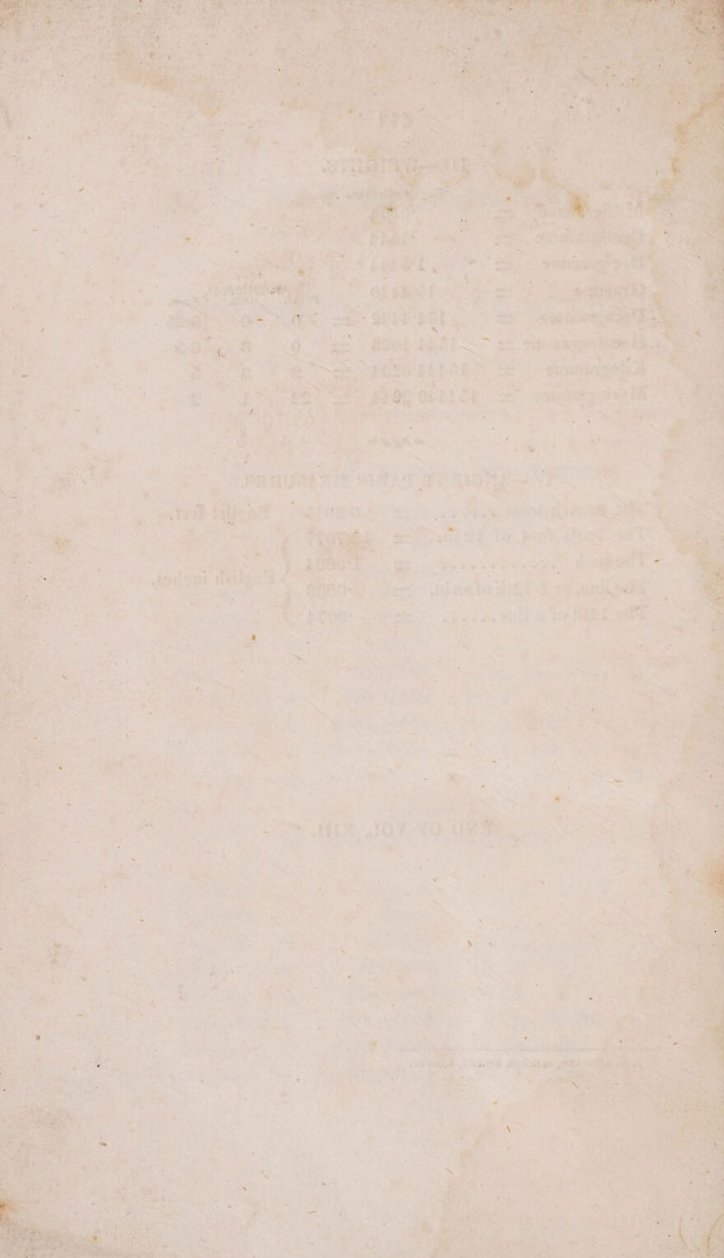 els? a 4 a ¥- Yee ST aeer À TEE MER LE Ne | i 2 * ET ~ | é ay Lan, 7 we 7 : a Fd Air [2 . est nd Ws rat A etal a a, } + re LENS pu ey