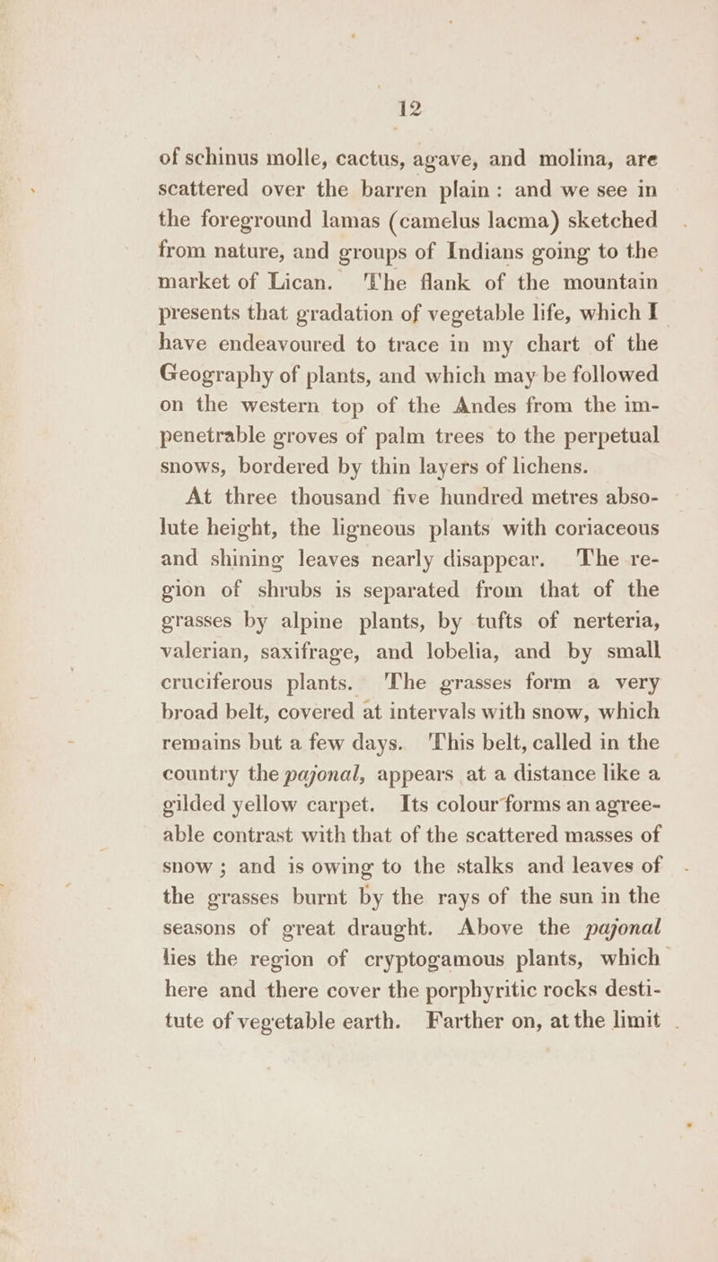 of schinus molle, cactus, agave, and molina, are scattered over the barren plain : and we see in the foreground lamas (camelus lacma) sketched from nature, and groups of Indians going to the market of Lican. The flank of the mountain presents that gradation of vegetable life, which I have endeavoured to trace in my chart of the Geography of plants, and which may be followed on the western top of the Andes from the im- penetrable groves of palm trees to the perpetual snows, bordered by thin layers of lichens. At three thousand five hundred metres abso- lute height, the ligneous plants with coriaceous and shining leaves nearly disappear. The re- gion of shrubs is separated from that of the grasses by alpine plants, by tufts of nerteria, valerian, saxifrage, and lobelia, and by small cruciferous plants. The grasses form a very broad belt, covered at intervals with snow, which remains but a few days. This belt, called in the country the pajonal, appears at a distance like a gilded yellow carpet. Its colour forms an agree- able contrast with that of the scattered masses of snow ; and is owing to the stalks and leaves of the grasses burnt by the rays of the sun in the seasons of great draught. Above the pajonal lies the region of cryptogamous plants, which here and there cover the porphyritic rocks desti- tute of vegetable earth. Farther on, at the limit .
