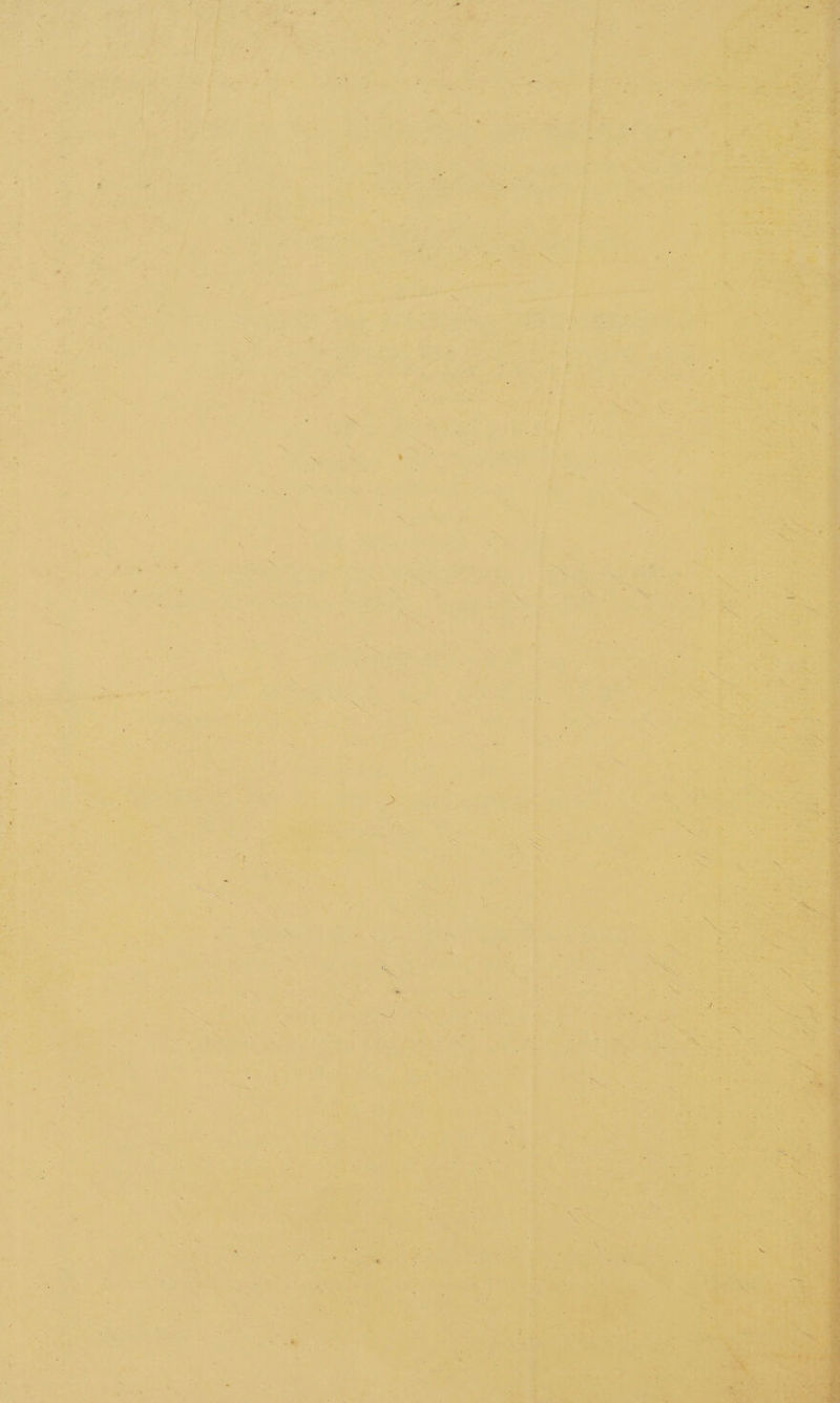 oa Gy Sent aye te ' a - agree 7 ~ - 2 & — eg eran S