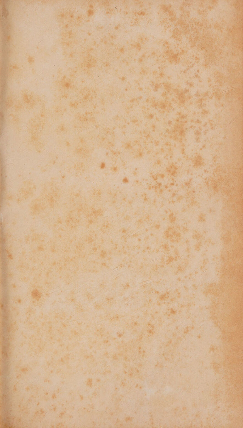 : ih! a ae ea ms : » te ile Val ik «Ain ‘> 74 Pau. ia