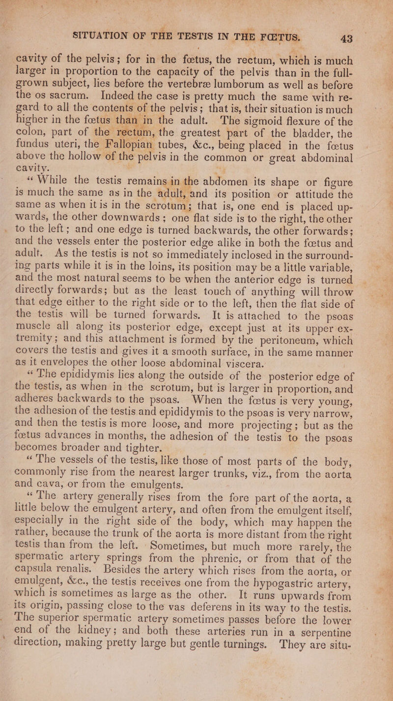 SITUATION OF THE TESTIS IN THE FQTUs, 43 cavity of the pelvis; for in the foetus, the rectum, which is much larger in proportion to the capacity of the pelvis than in the full- grown subject, lies before the vertebre: lumborum as well as before the os sacrum. Indeed the case is pretty much the same with re- gard to all the contents of the pelvis; that is, their situation is much higher in the foetus than in the adult. The sigmoid flexure of the colon, part of the rectum, the greatest part of the bladder, the fundus uteri, the Fallopian tubes, &amp;c., being placed in the fetus above the hollow of the pelvis in the common or great abdominal cavity. | si “While the testis remains in the abdomen its shape or figure is much the same as in the adult, and its position or attitude the same as when it is in the scrotum ; that is, one end is placed up- wards, the other downwards: one flat side is to the right, the other to the left; and one edge is turned backwards, the other forwards; and the vessels enter the posterior edge alike in both the foetus and adult. As the testis is not so immediately inclosed in the surround- ing parts while it is in the loins, its position may be a little variable, and the most natural seems to be when the anterior edge is turned directly forwards; but as the least touch of anything will throw that edge either to the right side or to the left, then the flat side of the testis will be turned forwards. It is attached to the psoas muscle all along its posterior edge, except just at its upper ex-_ tremity; and this attachment is formed by the peritoneum, which covers the testis and gives it a smooth surface, in the same manner as it envelopes the other loose abdominal viscera. “ The epididymis lies along the outside of the posterior edge of the testis, as when in the scrotum, but is larger in proportion, and adheres backwards to the psoas. When the fcetus is very young, the adhesion of the testis and epididymis to the psoas is very narrow, and then the testis is more loose, and more projecting; but as the foetus advances in months, the adhesion of the testis to the psoas becomes broader and tighter. : “ The vessels of the testis, like those of most parts of the body, commonly rise from the nearest larger trunks, viz., from the aorta and cava, or from the emulgents. “The artery generally rises from the fore part of the aorta, a little below the emulgent artery, and often from the emulgent itself, especially in the right side of the body, which may happen the rather, because the trunk of the aorta is more distant from the right testis than from the left. Sometimes, but much more rarely, the spermatic artery springs from the phrenic, or from that of the capsula renalis. Besides the artery which rises from the aorta, or emulgent, &amp;c., the testis receives one from the hypogastric artery, which is sometimes as large as the other. It runs upwards from its origin, passing close to the vas deferens in its way to the testis. The superior spermatic artery sometimes passes before the lower end of the kidney; and both these arteries run in a serpentine direction, making pretty large but gentle turnings. They are situ-