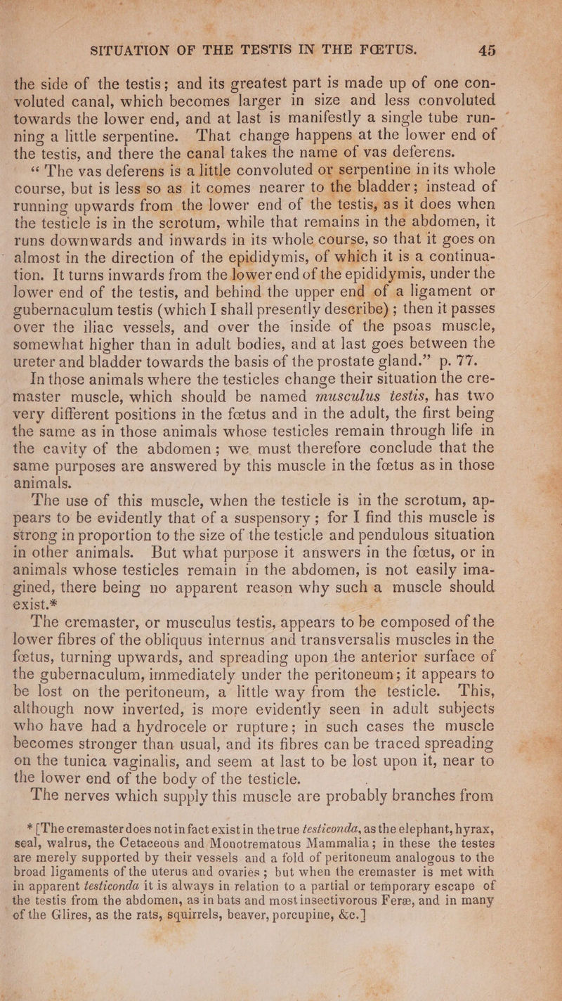 SS) cc es Sa if SITUATION OF THE TESTIS IN THE FQ@:TUS. 45 the side of the testis; and its greatest part is made up of one con- -voluted canal, which becomes larger in size and less convoluted the testis, and there the canal takes the name of vas deferens. «The vas deferens is a little convoluted or serpentine in its whole course, but is less so as it comes nearer to the bladder ; instead of running upwards from the lower end of the testis, as it does when the testicle is in the scrotum, while that remains in the abdomen, it runs downwards and inwards in its whole course, so that it goes on ~ almost in the direction of the epididymis, of which it is a continua- tion. It turns inwards from the lower end of the epididymis, under the lower end of the testis, and behind the upper end of a ligament or gubernaculum testis (which I shall presently describe) ; then it passes over the iliac vessels, and over the inside of the psoas muscle, somewhat higher than in adult bodies, and at last goes between the ureter and bladder towards the basis of the prostate gland.” p. 77. In those animals where the testicles change their situation the cre- master muscle, which should be named musculus testis, has two very different positions in the foetus and in the adult, the first being the same as in those animals whose testicles remain through life in the cavity of the abdomen; we must therefore conclude that the same purposes are answered by this muscle in the foetus as in those animals. The use of this muscle, when the testicle is in the scrotum, ap- pears to be evidently that of a suspensory ; for I find this muscle is strong in proportion to the size of the testicle and pendulous situation in other animals. But what purpose it answers in the foetus, or in animals whose testicles remain in the abdomen, is not easily ima- _gined, there being no apparent reason why such a muscle should exist.* re _ The cremaster, or musculus testis, appears to be composed of the lower fibres of the obliquus internus and transversalis muscles in the foetus, turning upwards, and spreading upon the anterior surface of the gubernaculum, immediately under the peritoneum; it appears to be lost on the peritoneum, a little way from the testicle. This, although now inverted, is more evidently seen in adult subjects who have had a hydrocele or rupture; in such cases the muscle becomes stronger than usual, and its fibres can be traced spreading on the tunica vaginalis, and seem at last to be lost upon it, near to the lower end of the body of the testicle. | The nerves which supply this muscle are probably branches from * (The cremaster does not in fact exist in the true ¢esticonda, as the elephant, hyrax, seal, walrus, the Cetaceous and Monotrematous Mammalia; in these the testes are merely supported by their vessels and a fold of peritoneum analogous to the broad ligaments of the uterus and ovaries; but when the cremaster is met with _in apparent ¢esticonda it is always in relation to a partial or temporary escape of the testis from the abdomen, as in bats and most insectivorous Fere, and in many of the Glires, as the rats, squirrels, beaver, porcupine, &c. | i