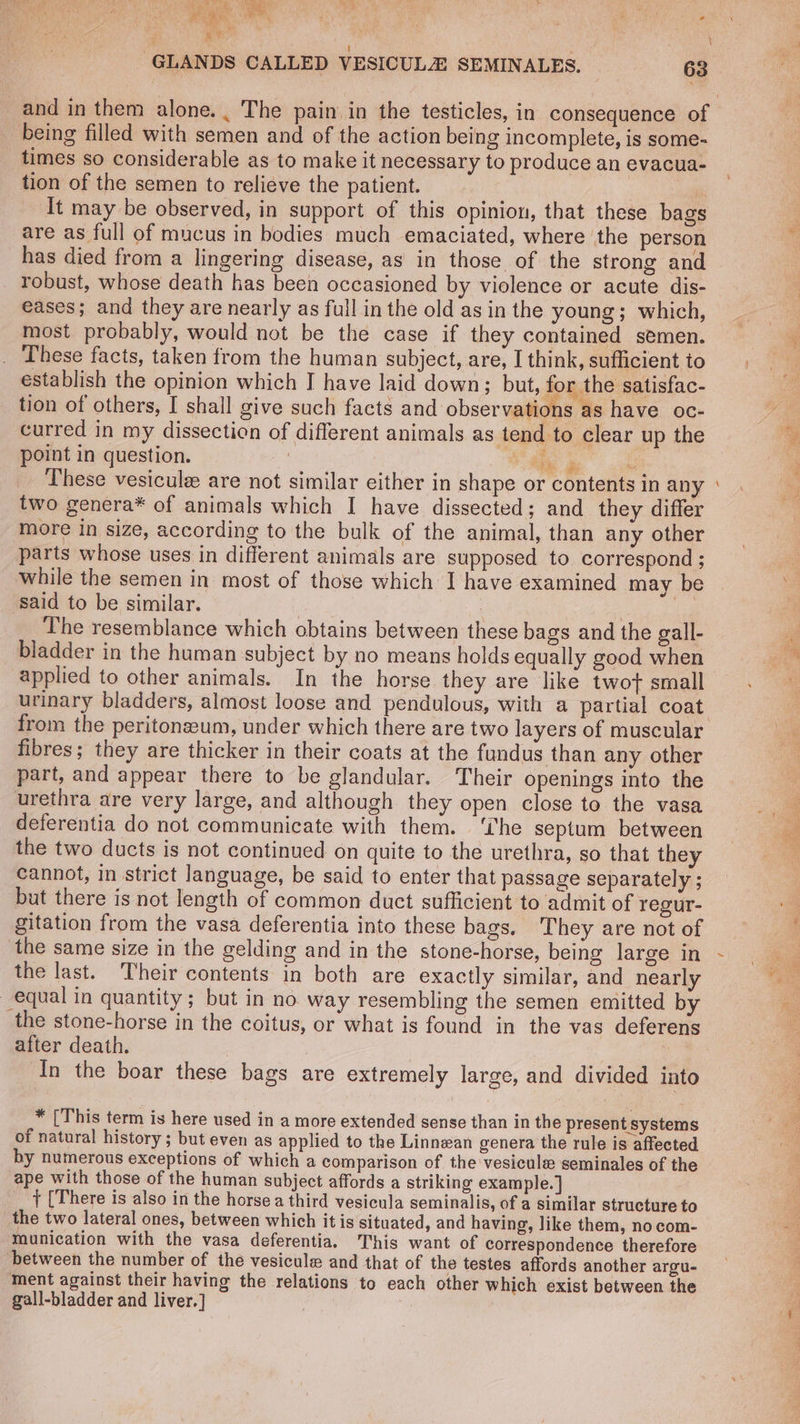 Sa cas” a an | \ ‘ GLANDS CALLED VESICULZ SEMINALES. 63 and in them alone. . The pain in the testicles, in consequence of being filled with semen and of the action being incomplete, is some- times so considerable as to make it necessary to produce an evacua- tion of the semen to relieve the patient. | It may be observed, in support of this opinion, that these bags are as full of mucus in bodies much emaciated, where the person has died from a lingering disease, as in those of the strong and robust, whose death has been occasioned by violence or acute dis- eases; and they are nearly as full inthe old asin the young; which, = most probably, would not be the case if they contained semen. 7 _ These facts, taken from the human subject, are, I think, sufficient to establish the opinion which I have laid down: but, for the satisfac- tion of others, I shall give such facts and observations as have oc- | curred in my dissection of different animals as tend to clear up the > point in question. | | oe is a These vesiculz are not similar either in shape or contents in any sy two genera* of animals which I have dissected; and they differ | more in size, according to the bulk of the animal, than any other parts whose uses in different animals are supposed to correspond ; while the semen in most of those which J have examined may be said to be similar. | : ig The resemblance which obtains between these bags and the gall- : bladder in the human subject by no means holds equally good when : applied to other animals. In the horse they are like twot small urinary bladders, almost loose and pendulous, with a partial coat from the peritonzeum, under which there are two layers of muscular fibres; they are thicker in their coats at the fundus than any other part, and appear there to be glandular. Their openings into the urethra are very large, and although they open close to the vasa deferentia do not communicate with them. ‘The septum between the two ducts is not continued on quite to the urethra, so that they cannot, in strict language, be said to enter that passage separately ; but there is not length of common duct sufficient to admit of regur- gitation from the vasa deferentia into these bags. They are not of the same size in the gelding and in the stone-horse, being large in - the last. Their contents in both are exactly similar, and nearly ; equal in quantity ; but in no way resembling the semen emitted by A the stone-horse in the coitus, or what is found in the vas deferens : after death, | me In the boar these bags are extremely large, and divided into = * [This term is here used in a more extended sense than in the present systems of natural history ; but even as applied to the Linnean genera the rule is affected by numerous exceptions of which a comparison of the vesicule seminales of the ape with those of the human subject affords a striking example. ] } [There is also in the horse a third vesicula seminalis, of a similar structure to : _the two lateral ones, between which it is situated, and having, like them, no com- < munication with the vasa deferentia. This want of correspondence therefore : between the number of the vesicule and that of the testes affords another argu- ment against their having the relations to each other which exist between the 4 gall-bladder and liver.] . ue