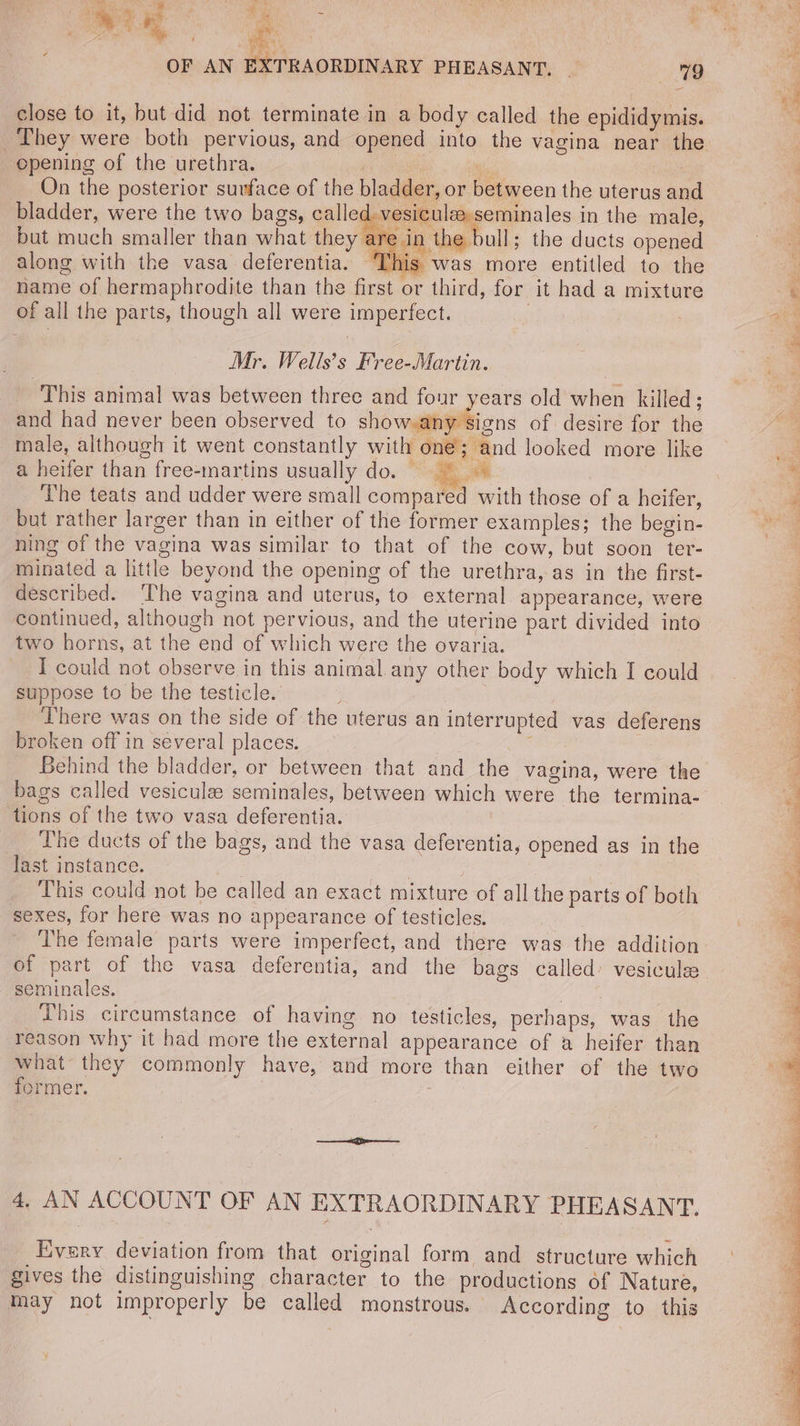 oe ox, a ; oo ie 3 OF AN EXTRAORDINARY PHEASANT, | 79 4 close to it, but did not terminate in a body called the epididymis. opening of the urethra. . i On the posterior surface of the bladder, or between the uterus and bladder, were the two bags, called vesiculee seminales in the male, but much smaller than what they are in the bull; the ducts opened along with the vasa deferentia. This was more entitled to the name of hermaphrodite than the first or third, for it had a mixture of all the parts, though all were imperfect. Mr. Wells’s Free-Martin. ‘This animal was between three and four years old when killed; and had never been observed to show.any signs of desire for the male, although it went constantly with one; and looked more like a heifer than free-martins usually do. = _ The teats and udder were small compared with those of a heifer, but rather larger than in either of the former examples; the begin- ning of the vagina was similar to that of the cow, but soon ter- minated a little beyond the opening of the urethra, as in the first- described. ‘The vagina and uterus, to external appearance, were continued, although not pervious, and the uterine part divided into two horns, at the end of which were the ovaria. I could not observe in this animal any other body which I could suppose to be the testicle. ; There was on the side of the uterus an interrupted vas deferens broken off in several places. Behind the bladder, or between that and the vagina, were the bags called vesiculze seminales, between which were the termina- tions of the two vasa deferentia. The ducts of the bags, and the vasa deferentia, opened as in the last instance. | _ This could not be called an exact mixture of all the parts of both sexes, for here was no appearance of testicles. The female parts were imperfect, and there was the addition of part of the vasa deferentia, and the bags called vesicule seminales. Paes: This circumstance of having no testicles, perhaps, was the eason why it had more the external appearance of a heifer than ae they commonly have, and more than either of the two ormer. : 4, AN ACCOUNT OF AN EXTRAORDINARY PHEASANT. _Every deviation from that original form and structure which gives the distinguishing character to the productions of Nature, may not improperly be called monstrous. According to this