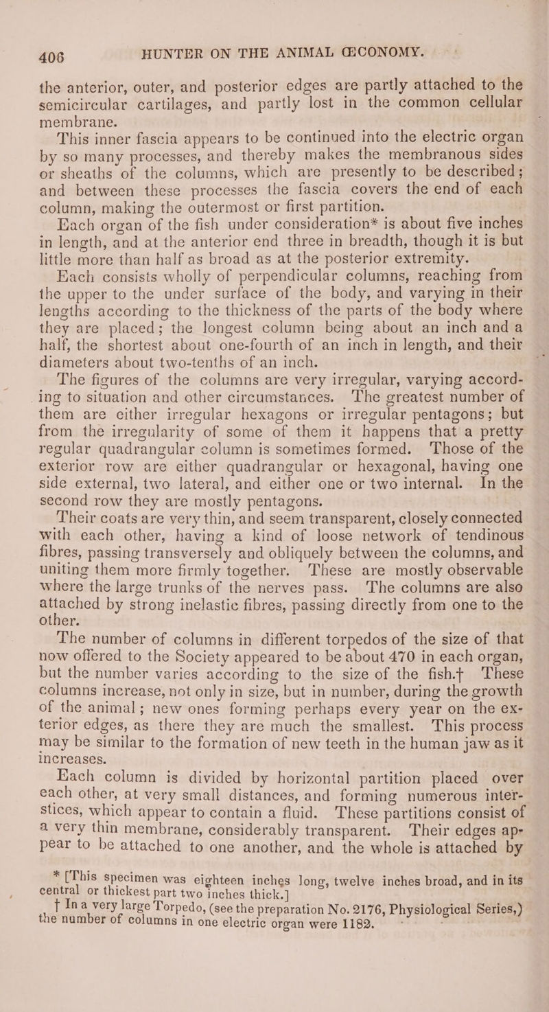 the anterior, outer, and posterior edges are partly attached to the semicircular cartilages, and partly lost in the common cellular membrane. This inner fascia appears to be continued into the electric organ by so many processes, and thereby makes the membranous sides or sheaths of the columns, which are presently to be described ; and between these processes the fascia covers the end of each column, making the outermost or first partition. Each organ of the fish under consideration* is about five inches in length, and at the anterior end three in breadth, though it is but little more than half as broad as at the posterior extremity. Each consists wholly of perpendicular columns, reaching from the upper to the under surface of the body, and varying in their lengths according to the thickness of the parts of the body where they are placed; the longest column being about an inch and a half, the shortest about one-fourth of an inch in length, and their diameters about two-tenths of an inch. The figures of the columns are very irregular, varying accord- ing to situation and other circumstances. The greatest number of them are either irregular hexagons or irregular pentagons; but from the irregularity of some of them it happens that a pretty regular quadrangular column is sometimes formed. Those of the exterior row are either quadrangular or hexagonal, having one side external, two lateral, and either one or two internal. In the second row they are mostly pentagons. Their coats are very thin, and seem transparent, closely connected with each other, having a kind of loose network of tendinous fibres, passing transversely and obliquely between the columns, and uniting them more firmly together. These are mostly observable where the large trunks of the nerves pass. The columns are also iaonae by strong inelastic fibres, passing directly from one to the other. The number of columns in different torpedos of the size of that now offered to the Society appeared to be about 470 in each organ, but the number varies according to the size of the fish.t These columns increase, not only in size, but in number, during the growth of the animal; new ones forming perhaps every year on the ex- terior edges, as there they are much the smallest. This process may be similar to the formation of new teeth in the human jaw as it increases. Each column is divided by horizontal partition placed over each other, at very small distances, and forming numerous inter- stices, which appear to contain a fluid. These partitions consist of a very thin membrane, considerably transparent. Their edges ap- pear to be attached to one another, and the whole is attached by * ° ° . ° 4 j { ‘(This specimen was eighteen inches long, twelve inches broad, and in its central or thickest part two inches thick.] t Ina very large Torpedo, (see the preparation No. 2176, Physiological Series,) the number of columns in one electric organ were 1182. ~ ,