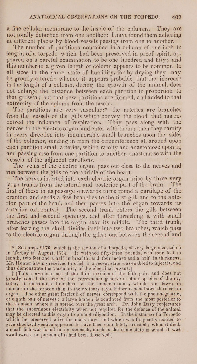 a fine cellular membrane to the inside of the columns. They are not totally detached from one another: I have found them adhering at different places by blood-vessels passing from one to another. The number of partitions contained in a column of one inch in length, of a torpedo which had been preserved in proof spirit, ap- peared on a careful examination to be one hundred and fifty; and this number in a given length of column appears to be common to all sizes in the same state of humidity, for by drying they may be greatly altered; whence it appears probable that the increase in the length of a column, during the growth of the animal, does not enlarge the distance between each partition in proportion to that growth; but that new partitions are formed, and added to that - extremity of the column from the fascia. The partitions are very vascular;* the arteries are branches from the vessels of the gills which convey the blood that has re- ceived the influence of respiration. They pass along with the nerves to the electric organ, and enter with them; then they ramify in every direction into innumerable small branches upon the sides of the columns, sending in from the circumference all around upon each partition small arteries, which ramify and anastomose upon it, and passing also from one partition to another, anastomose with the vessels of the adjacent partitions. | The veins of the electric organ pass out close to the nerves and run between the gills to the auricle of the heart. The nerves inserted into each electric organ arise by three very large trunks from the lateral and posterior part of the brain. The first of these in its passage outwards turns round a cartilage of the cranium and sends a few branches to the first gill, and to the ante- rior part of the head, and then passes into the organ towards its anterior extremity.t The second trunk enters the giils between the first and second openings, and after furnishing it with small branches passes into the organ near its middle. The third trunk, after leaving the skull, divides itself into two branches, which pass to the electric organ through the gills; one between the second and * [See prep. 2176, which is the section of a Torpedo, of very large size, taken in Torbay in August, 1774. It weighed fifty-three pounds, was four feet in length, two feet and a half in breadth, and four inches and a half in thickness, Mr. Hunter having received this fish in a recent state was enabled to inject it, and thus demonstrate the vascularity of the electrical organs. ] + [This nerve is a part of the third division of the fifth pair, and does not greatly exceed the size of the corresponding nerve in other species of the ray tribe; it distributes branches to the mucous tubes, which are fewer in number in the torpedo than in the ordinary rays, before it penetrates the electric organ. The other great fasciculi of nerves correspond with the pneumogastric, or eighth pair of nerves: a large branch is continued from the most posterior to the stomach, where it is spread over the great arch. Dr. John Davy conjectures that the superfluous electricity when not required for the defence of the animal may be directed to this organ to promote digestion. In the instance of a Torpedo which he preserved alive for many days, and which was frequently excited to give shocks, digestion appeared to have been completely arrested ; when it died, a small fish was found in its stomach, much in the same state in which it was swallowed ; no portion of it had been dissolved.]