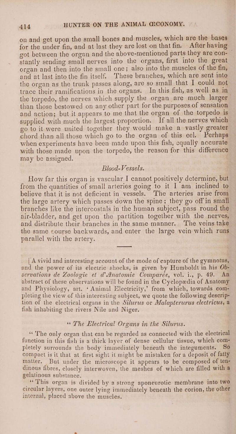 on and get upon the small bones and muscles, which are the bases for the under fin, and at last they are lost on that fin. After having got between the organ and the above-mentioned parts they are con- — stantly sending small nerves into the organs, first into the great organ and then into the small one; also into the muscles of the fin, and at last into the fin itself. These branches, which are sent into the organ as the trunk passes along, are so small that I could not trace their ramifications in the organs. In this fish, as well as in the torpedo, the nerves which supply the organ are much larger than those bestowed on any other part for the purposes of sensation and action; but it appears to me that the organ of the torpedo is supplied with much the largest proportion. If all the nerves which go to it were united together they would make a vastly greater chord than all those which go to the organ of this eel. Perhaps when experiments have been made upon this fish, equally accurate with those made upon the torpedo, the reason for this difference may be assigned. | Blood-Vessels. How far this organ is vascular I cannot positively determine, but from the quantities of small arteries going to it I am inclined to believe that it is not deficient in vessels. The arteries arise from the large artery which passes down the spine; they go off in small branches like the intercostals in the human subject, pass round the air-bladder, and get upon the partition together with the nerves, and distribute their branches in the same manner. The veins take the same course backwards, and enter the large vein which runs parallel with the artery. | A vivid and interesting account of the mode of capture of the gymnotus, ~ and the power of its electric shocks, is given by Humboldt in his Ob- servations de Zoologie et d’ Anatomie Comparée, vol. i., p. 49. An abstract of these observations will be found in the Cyclopedia of Anatomy and Physiology, art. ‘ Animal Electricity,’ from which, towards com- pleting the view of this interesting subject, we quote the following descrip- tion of the electrical organs in the Silurus or Malapterurus electricus, a fish inhabiting the rivers Nile and Niger. “The Electrical Organs in the Silurus. ‘“‘'The only organ that can be regarded as connected with the electrical function in this fish is a thick layer of dense cellular tissue, which com- pletely surrounds the body immediately beneath the integuments. So compact is it that at first sight it might be mistaken for a deposit of fatty matter. But under the microscope it appears to be composed of ten- dinous fibres, closely interwoven, the meshes of which are filled with @ gelatinous substance. ‘This organ is divided by a strong aponeurotic membrane into two circular layers, one outer lying immediately beneath the corion, the other internal, placed above the muscles.