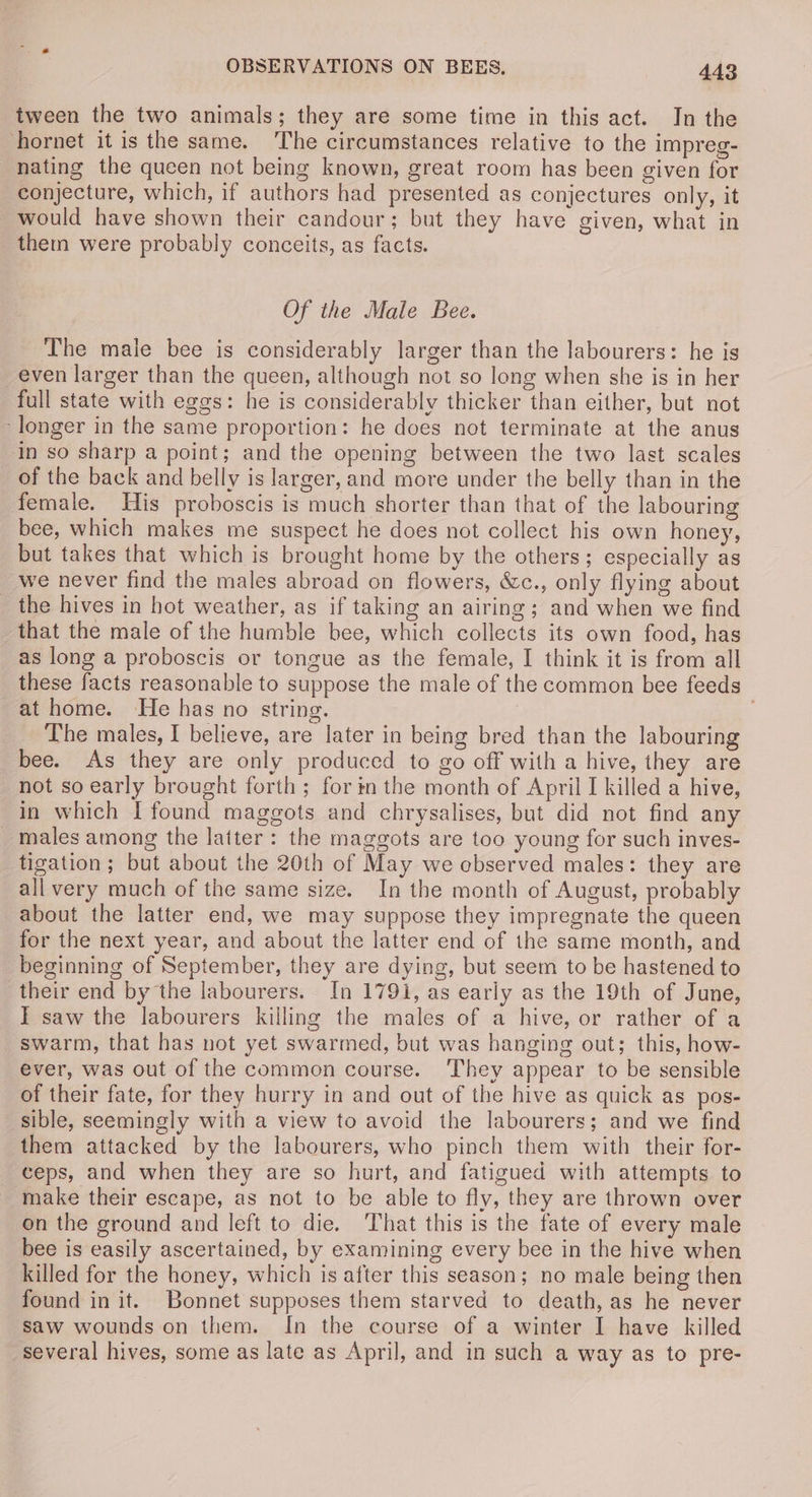 tween the two animals; they are some time in this act. In the hornet it is the same. ‘The circumstances relative to the impreg- nating the queen not being known, great room has been given for conjecture, which, if authors had presented as conjectures only, it would have shown their candour; but they have given, what in them were probably conceits, as facts. Of the Male Bee. The male bee is considerably larger than the labourers: he is even larger than the queen, although not so long when she is in her full state with eggs: he is considerably thicker than either, but not ‘longer in the same proportion: he does not terminate at the anus in so sharp a point; and the opening between the two last scales of the back and belly is larger, and more under the belly than in the female. His proboscis is much shorter than that of the labouring bee, which makes me suspect he does not collect his own honey, but takes that which is brought home by the others; especially as we never find the males abroad on flowers, &c., only flying about the hives in hot weather, as if taking an airing ; and when we find that the male of the humble bee, which collects its own food, has as long a proboscis or tongue as the female, I think it is from all these facts reasonable to suppose the male of the common bee feeds at home. He has no string. The males, I believe, are later in being bred than the labouring bee. As they are only produced to go off with a hive, they are not so early brought forth ; for in the month of April [killed a hive, in which I found maggots and chrysalises, but did not find any _ males among the latter: the maggots are too young for such inves- tigation; but about the 20th of May we observed males: they are all very much of the same size. In the month of August, probably about the latter end, we may suppose they impregnate the queen for the next year, and about the latter end of the same month, and beginning of September, they are dying, but seem to be hastened to their end by the labourers. In 179i, as early as the 19th of June, I saw the labourers killing the males of a hive, or rather of a swarm, that has not yet swarmed, but was hanging out; this, how- ever, was out of the common course. They appear to be sensible of their fate, for they hurry in and out of the hive as quick as pos- sible, seemingly with a view to avoid the labourers; and we find them attacked by the labourers, who pinch them with their for- ceps, and when they are so hurt, and fatigued with attempts to make their escape, as not to be able to fly, they are thrown over on the ground and left to die. ‘That this is the fate of every male bee is easily ascertained, by examining every bee in the hive when killed for the honey, which is after this season; no male being then found in it. Bonnet supposes them starved to death, as he never saw wounds on them. In the course of a winter I have killed several hives, some as late as April, and in such a way as to pre-