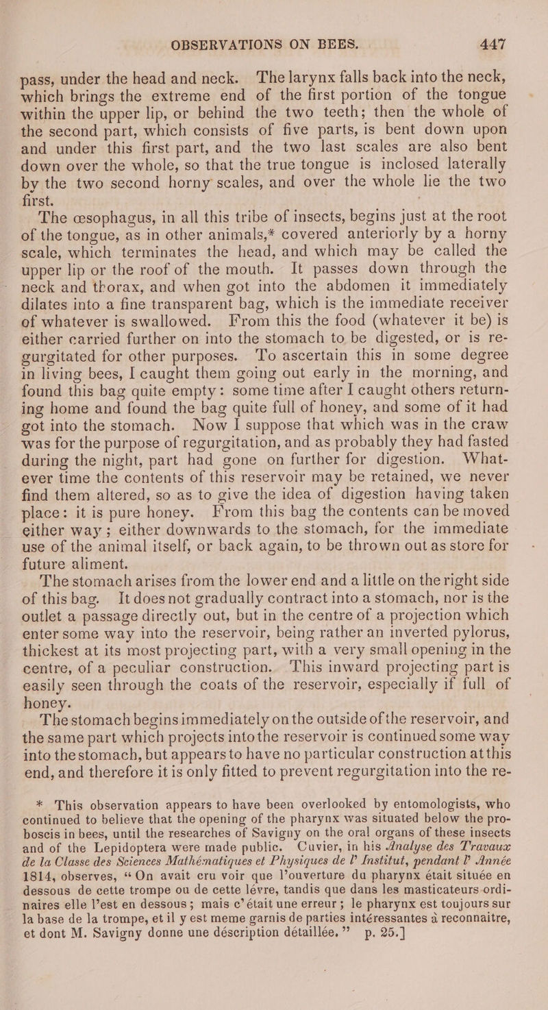 pass, under the head and neck. The larynx falls back into the neck, which brings the extreme end of the first portion of the tongue within the upper lip, or behind the two teeth; then the whole of the second part, which consists of five parts, is bent down upon and under this first part, and the two last scales are also bent down over the whole, so that the true tongue is inclosed laterally by the two second horny scales, and over the whole lie the two first. The cesophagus, in all this tribe of insects, begins just at the root of the tongue, as in other animals,* covered anteriorly by a horny scale, which terminates the head, and which may be called the upper lip or the roof of the mouth. It passes down through the neck and thorax, and when got into the abdomen it immediately dilates into a fine transparent bag, which is the immediate receiver of whatever is swallowed. Irom this the food (whatever it be) is either carried further on into the stomach to be digested, or is re- gurgitated for other purposes. ‘To ascertain this in some degree in living bees, I caught them going out early in the morning, and found this bag quite empty: some time after I caught others return- ing home and found the bag quite full of honey, and some of it had got into the stomach. Now I suppose that which was in the craw was for the purpose of regurgitation, and as probably they had fasted during the night, part had gone on further for digestion. What- ever time the contents of this reservoir may be retained, we never find them altered, so as to give the idea of digestion having taken place: it is pure honey. From this bag the contents can be moved either way ; either downwards to the stomach, for the immediate use of the animal itself, or back again, to be thrown out as store for future aliment. The stomach arises from the lower end and a little on the right side of thisbag. It doesnot gradually contract into a stomach, nor is the outlet a passage directly out, but in the centre of a projection which enter some way into the reservoir, being rather an inverted pylorus, thickest at its most projecting part, with a very small opening in the centre, of a peculiar construction. This inward projecting part is easily seen through the coats of the reservoir, especially if full of honey. The stomach begins immediately on the outside of the reservoir, and the same part which projects into the reservoir is continued some way into the stomach, but appears to have no particular construction at this end, and therefore it is only fitted to prevent regurgitation into the re- * This observation appears to have been overlooked by entomologists, who continued to believe that the opening of the pharynx was situated below the pro- boscis in bees, until the researches of Savigny on the oral organs of these insects and of the Lepidoptera were made public. Cuvier, in his Analyse des Travaua de la Classe des Sciences Mathématiques et Physiques de I’ Institut, pendant Année 1814, observes, “ On avait cru voir que l’onverture da pharynx était située en dessous de cette trompe ou de cette lévre, tandis que dans les masticateurs ordi- naires elle l’est en dessous; mais c’ était une erreur; le pharynx est toujours sur la base de la trompe, et il y est meme garnis de parties intéressantes a reconnaitre, et dont M. Savigny donne une déscription détaillée.” p. 25.]