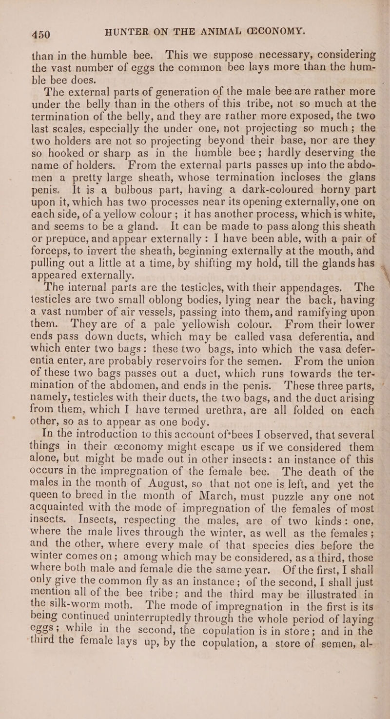 than in the humble bee. This we suppose necessary, considering the vast number of eggs the common bee lays more than the hum- ble bee does. : The external parts of generation of the male bee are rather more under the belly than in the others of this tribe, not so much at the termination of the belly, and they are rather more exposed, the two last scales, especially the under one, not projecting so much; the two holders are not so projecting beyond their base, nor are they so hooked or sharp as in the humble bee; hardly deserving the name of holders. From the external parts passes up into the abdo- men a pretty large sheath, whose termination incloses the glans penis. It is a bulbous part, having a dark-coloured horny part upon it, which has two processes near its opening externally, one on each side, of a yellow colour ; it has another process, which is white, and seems to be a gland. It can be made to pass along this sheath or prepuce, and appear externally : I have been able, with a pair of forceps, to invert the sheath, beginning externally at the mouth, and pulling out a little at a time, by shifting my hold, till the glands has . appeared externally. \ The internal parts are the testicles, with their appendages. The testicles are two small oblong bodies, lying near the back, having a vast number of air vessels, passing into them, and ramifying upon them. They are of a pale yellowish colour. From their lower ends pass down ducts, which may be called vasa deferentia, and which enter two bags: these two bags, into which the vasa defer- entia enter, are probably reservoirs for the semen. From the union of these two bags passes out a duct, which runs towards the ter- mination of the abdomen, and ends in the penis. These three parts, ~ namely, testicles with their ducts, the two bags, and the duct arising from them, which I have termed urethra, are all folded on each other, so as to appear as one body. 7 | In the introduction to this account of*bees I observed, that several things in their ceconomy might escape us if we considered them alone, but might be made out in other insects: an instance of this occurs in the impregnation of the female bee. The death of the males in the month of August, so that not one is left, and yet the queen to breed in the month of March, must puzzle any one not acquainted with the mode of impregnation of the females of most insects. Insects, respecting the males, are of two kinds: one, where the male lives through the winter, as well as the females ; and the other, where every male of that species dies before the winter comes on; among which may be considered, as a third, those where both male and female die the same year. Of the first, I shall only give the common fly as an instance; of the second, I shall just mention all of the bee tribe; and the third may be illustrated in the silk-worm moth. The mode of impregnation in the first is its being continued uninterruptedly through the whole period of laying eggs; while in the second, the copulation is in store; and in the ‘third the female lays up, by the copulation, a store of semen, al-