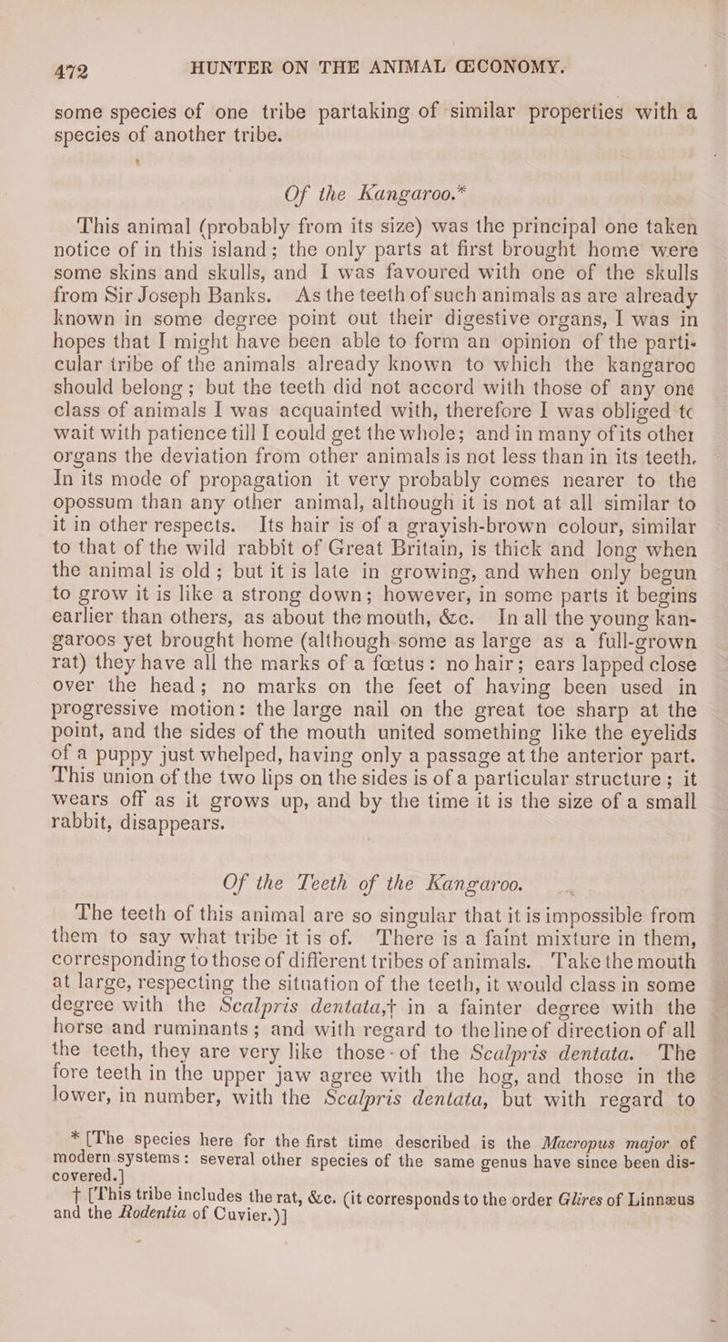 some species of one tribe partaking of similar properties with a species of another tribe. e Of the Kangaroo.* This animal (probably from its size) was the principal one taken notice of in this island; the only parts at first brought home were some skins and skulls, and I was favoured with one of the skulls from Sir Joseph Banks. As the teeth of such animals as are already known in some degree point out their digestive organs, I was in hopes that I might have been able to form an opinion of the parti- cular iribe of the animals already known to which the kangaroa should belong ; but the teeth did not accord with those of any one class of animals I was acquainted with, therefore I was obliged tc wait with patience till I could get the whole; and in many of its other organs the deviation from other animals is not less than in its teeth. In its mode of propagation it very probably comes nearer to the opossum than any other animal, although it is not at all similar to it in other respects. Its hair is of a grayish-brown colour, similar to that of the wild rabbit of Great Britain, is thick and long when the animal is old; but it is late in growing, and when only begun to grow it is like a strong down; however, in some parts it begins earlier than others, as about the mouth, &amp;c. In all the young kan- garoos yet brought home (although some as large as a full-grown rat) they have all the marks of a foetus: no hair; ears lapped close over the head; no marks on the feet of having been used in progressive motion: the large nail on the great toe sharp at the point, and the sides of the mouth united something like the eyelids of a puppy just whelped, having only a passage at the anterior part. This union of the two lips on the sides is of a particular structure ; it wears off as it grows up, and by the time it is the size of a small rabbit, disappears. Of the Teeth of the Kangaroo. The teeth of this animal are so singular that it isimpossible from them to say what tribe it is of. There is a faint mixture in them, corresponding to those of different tribes of animals. Take the mouth at large, respecting the situation of the teeth, it would class in some degree with the Scalpris dentata,t in a fainter degree with the horse and ruminants; and with regard to theline of direction of all the teeth, they are very like those-of the Sculpris dentata. The fore teeth in the upper jaw agree with the hog, and those in the lower, in number, with the Scalpris dentata, but with regard to * [The species here for the first time described is the Macropus major of oe Systems: several other species of the same genus have since been dis- covered. | fT [This tribe includes the rat, &amp;e. (it corresponds to the order Glires of Linneus and the fodentia of Cuvier.)]
