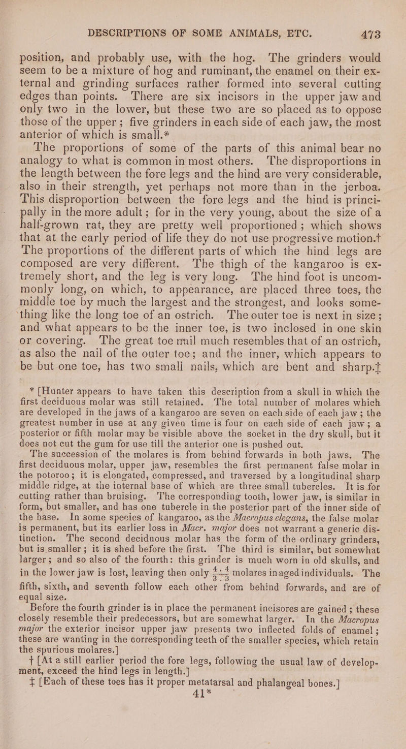 position, and probably use, with the hog. The grinders would seem to be a mixture of hog and ruminant, the enamel on their ex- ternal and grinding surfaces rather formed into several cutting edges than points. There are six incisors in the upper jaw and only two in the lower, but these two are so placed as to oppose those of the upper; five grinders in each side of each jaw, the most anterior of which is small.* The proportions of some of the parts of this animal bear no analogy to what is common in most others. The disproportions in the length between the fore legs and the hind are very considerable, also in their strength, yet perhaps not more than in the jerboa. This disproportion between the fore legs and the hind is princi- pally in the more adult; for in the very young, about the size of a half-grown rat, they are pretty well proportioned ; which shows that at the early period of life they do not use progressive motion.t The proportions of the different parts of which the hind legs are composed are very different. The thigh of the kangaroo is ex- tremely short, and the leg is very long. The hind foot is uncom- monly long, on which, to appearance, are placed three toes, the middle toe by much the largest and the strongest, and looks some- ‘thing like the long toe of an ostrich. The outer toe is next in size; and what appears to be the inner toe, is two inclosed in one skin or covering. The great toe muil much resembles that of an ostrich, as also the nail of the outer toe; and the inner, which appears to be but one toe, has two smali nails, which are bent and sharp.t * [Hunter appears to have taken this description from a skull in which the first deciduous molar was still retained. The total number of molares which are developed in the jaws of a kangaroo are seven on each side of each jaw; the greatest number in use at any given time is four on each side of each jaw; a posterior or fifth molar may be visible above the socket in the dry skull, but it does not cut the gum for use till the anterior one is pushed out. The succession of the molares is from behind forwards in both jaws. The first deciduous molar, upper jaw, resembles the first permanent false molar in the potoroo; it is elongated, compressed, and traversed by a longitudinal sharp middle ridge, at the internal base of which are three small tubercles. It is for cutting rather than bruising. ‘The corresponding tooth, lower jaw, is similar in form, but smaller, and has one tubercle in the posterior part of the inner side of the base. In some species of kangaroo, as the Macropus elegans, the false molar is permanent, but its earlier loss in Maer. major does not warrant a generic dis- tinction. ‘The second deciducus molar has the form of the ordinary grinders, but is smaller; it is shed before the first. The third is similar, but somewhat larger; and so also of the fourth: this grinder is much worn in old skulls, and in the lower jaw is lost, leaving then only ae molares inaged individuals.. The fifth, sixth, and seventh follow each other from behind forwards, and are of equal size. Before the fourth grinder is in place the permanent incisores are gained ; these closely resemble their predecessors, but are somewhat larger. In the Macropus major the exterior incisor upper jaw presents two inflected folds of enamel; these are wanting in the corresponding teeth of the smaller species, which retain the spurious molares.] | t [At a still earlier period the fore legs, following the usual law of develop- ment, exceed the hind legs in length.] + [Each of these toes has it proper metatarsal and phalangeal bones.] E