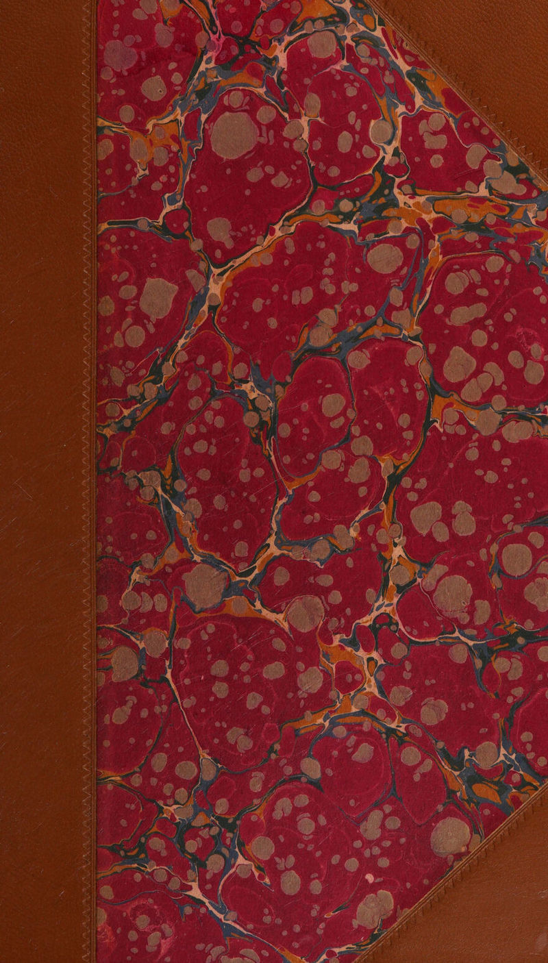 PR LN 2%: iS AV va vi: 2s Arts. WIENS Z ME PINE