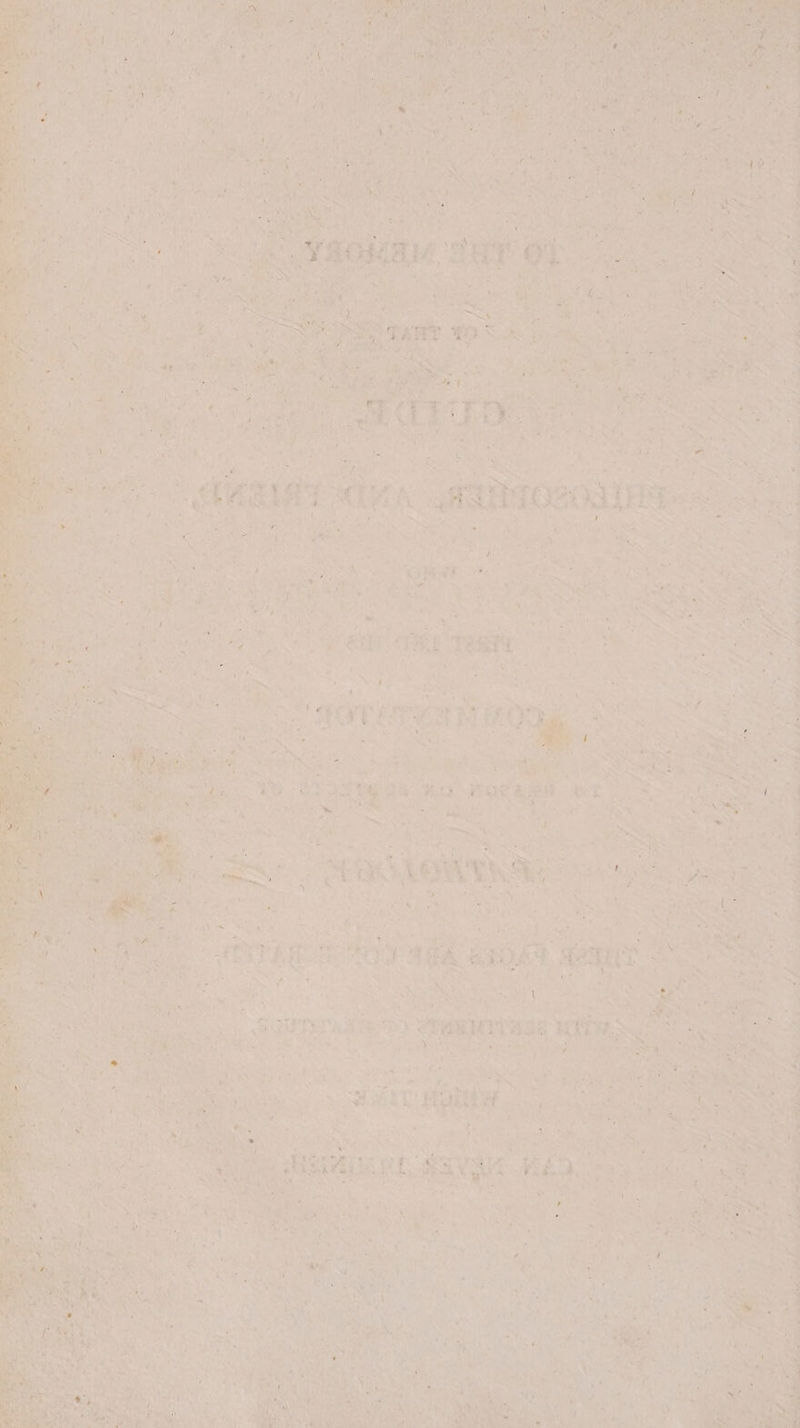 > > PEN ae < ee, et } Es x i Wh a cane cai ‘y 2 7 eh Pal ae ha Sei sai kane sh a re Mee > ah