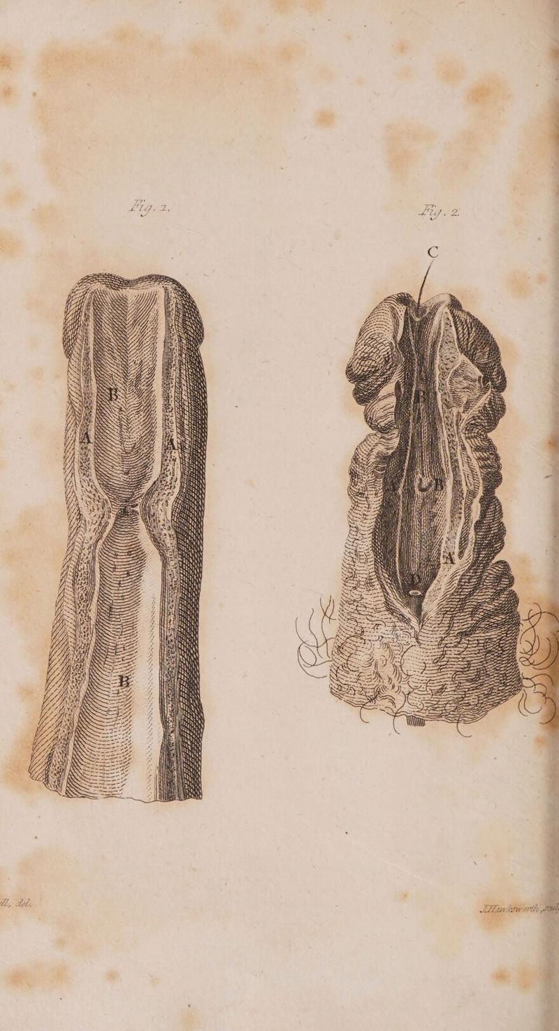 gb ‘ A OP Oe = oy ww LGPL. SORE ona oe eee a a a Oa a we RO Nm! > : = 79 MPAA A ee Ss : Ye! iY} d LLY, Yi ee AMI GY, Se LLG SSS LL Ss 4 Z a ¥ cS ., < eA, ae (ae = TERIAL EL Y SKE : SX ; SSS 7 tL LLL EE bdo “£ ll, Heb,