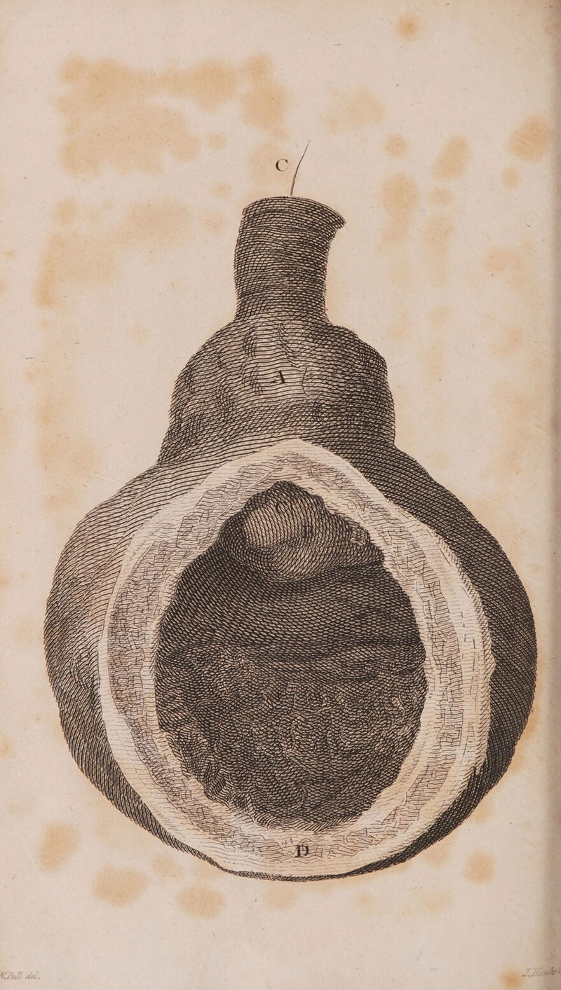 oe eT Bes ZF; See of. <> ee SS ay! Y SSS oe ees ISAS Pan = SSS po oe TASS oars SSS Se eS Zs I SNS SoS ; = = — a YY Hy Uy} Yi SSS POA fx. > Area OS Ser i